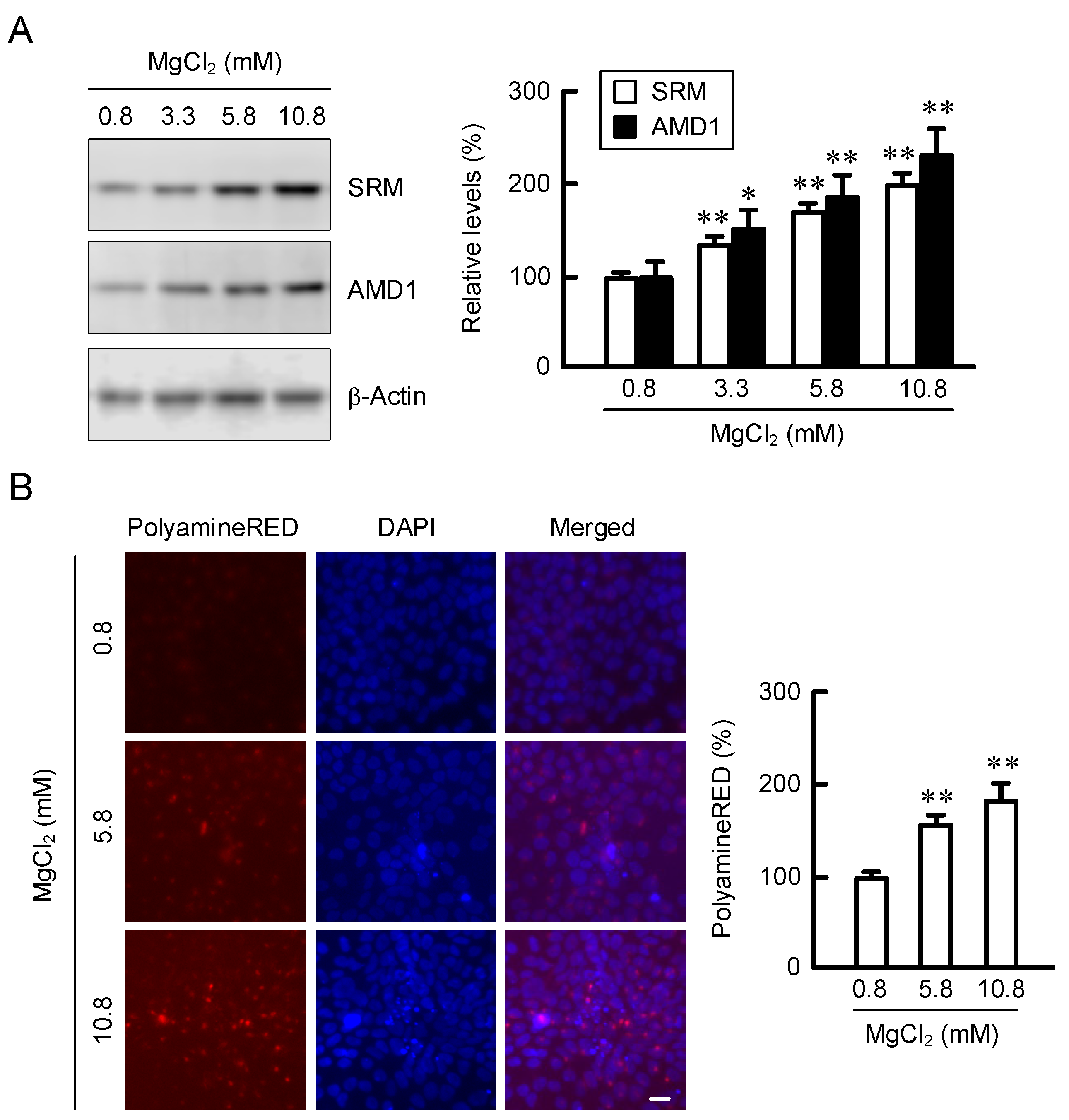 Cells 11 02268 g003 Cells 11 02268 g003