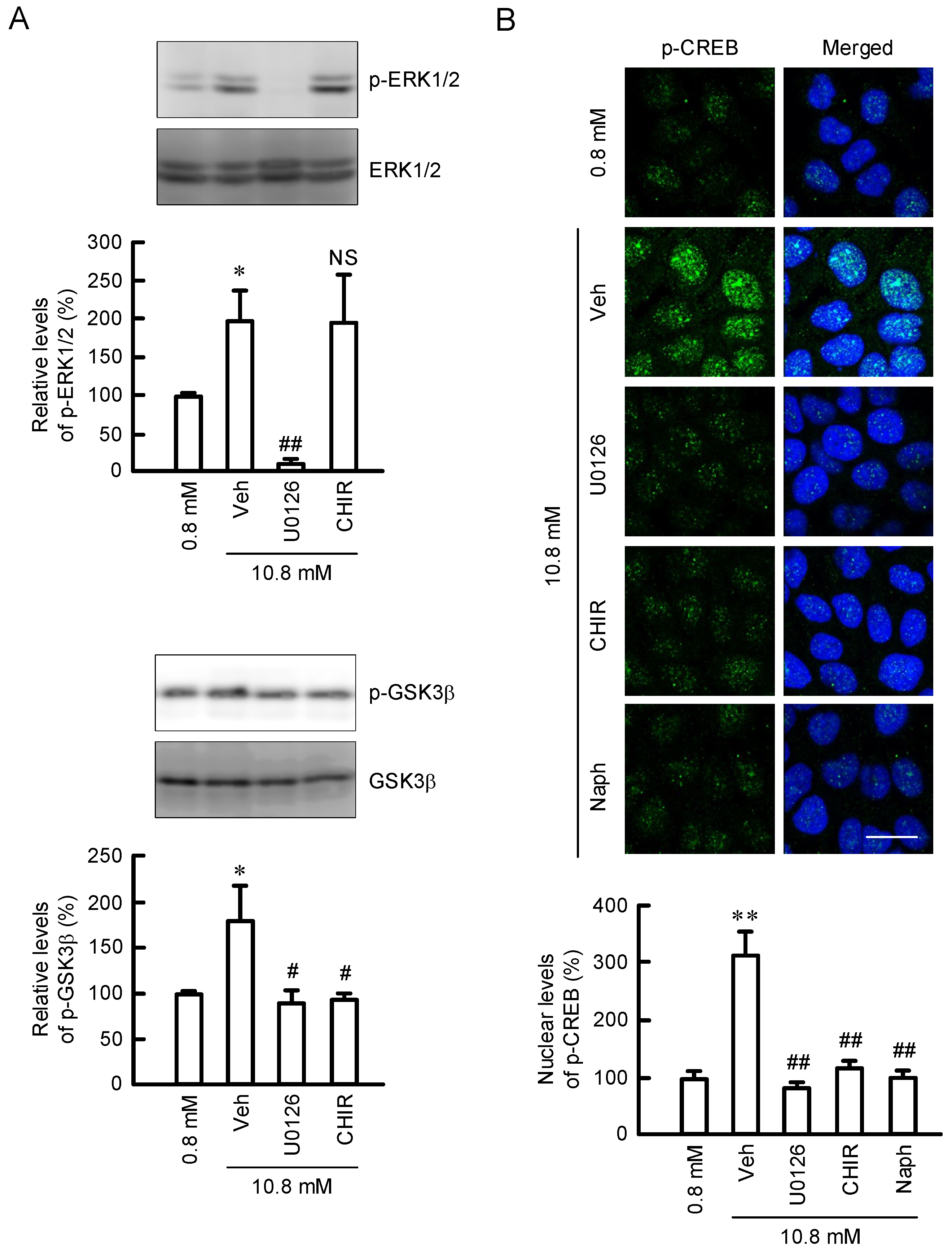 Cells 11 02268 g005 Cells 11 02268 g005