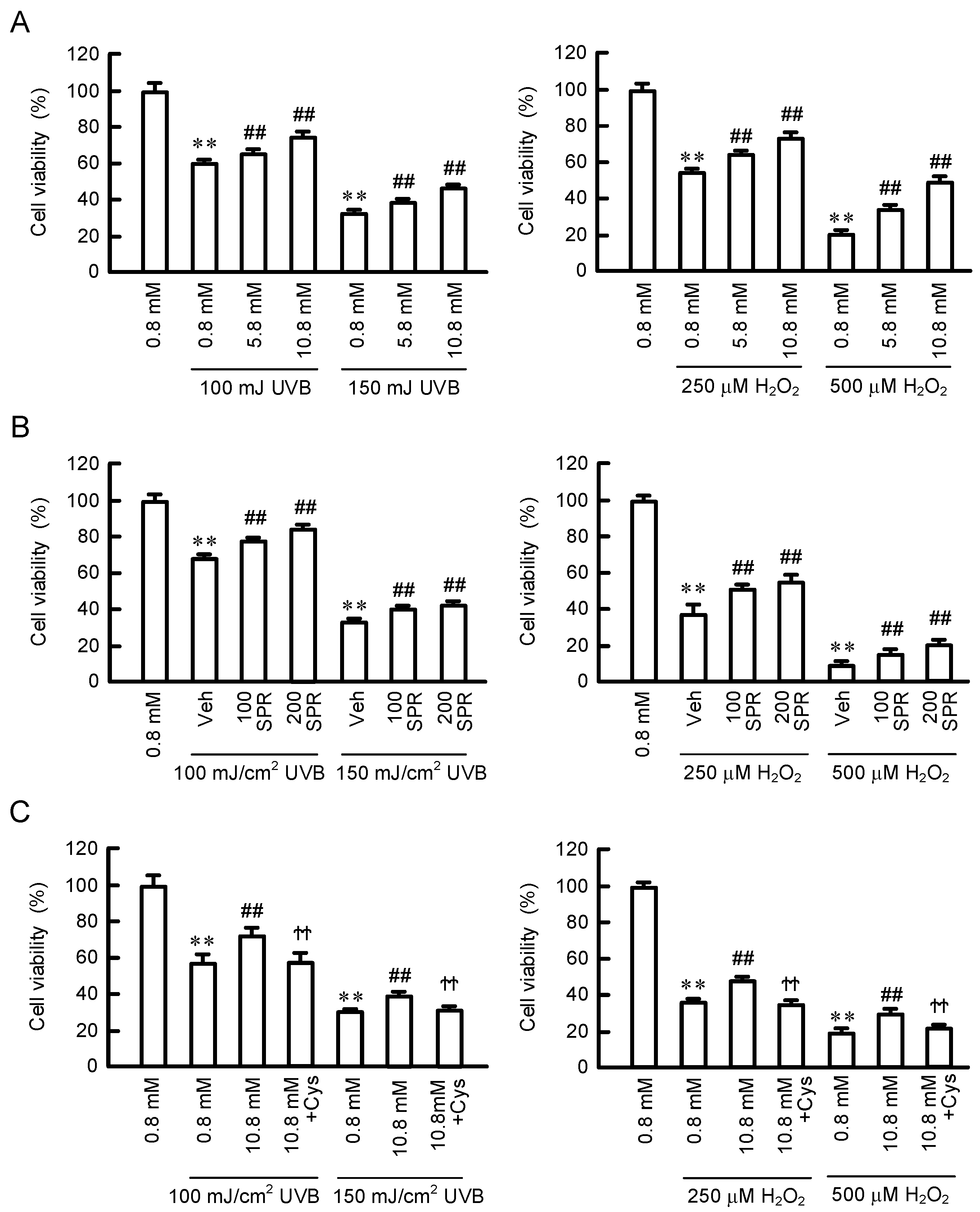 Cells 11 02268 g007 Cells 11 02268 g007