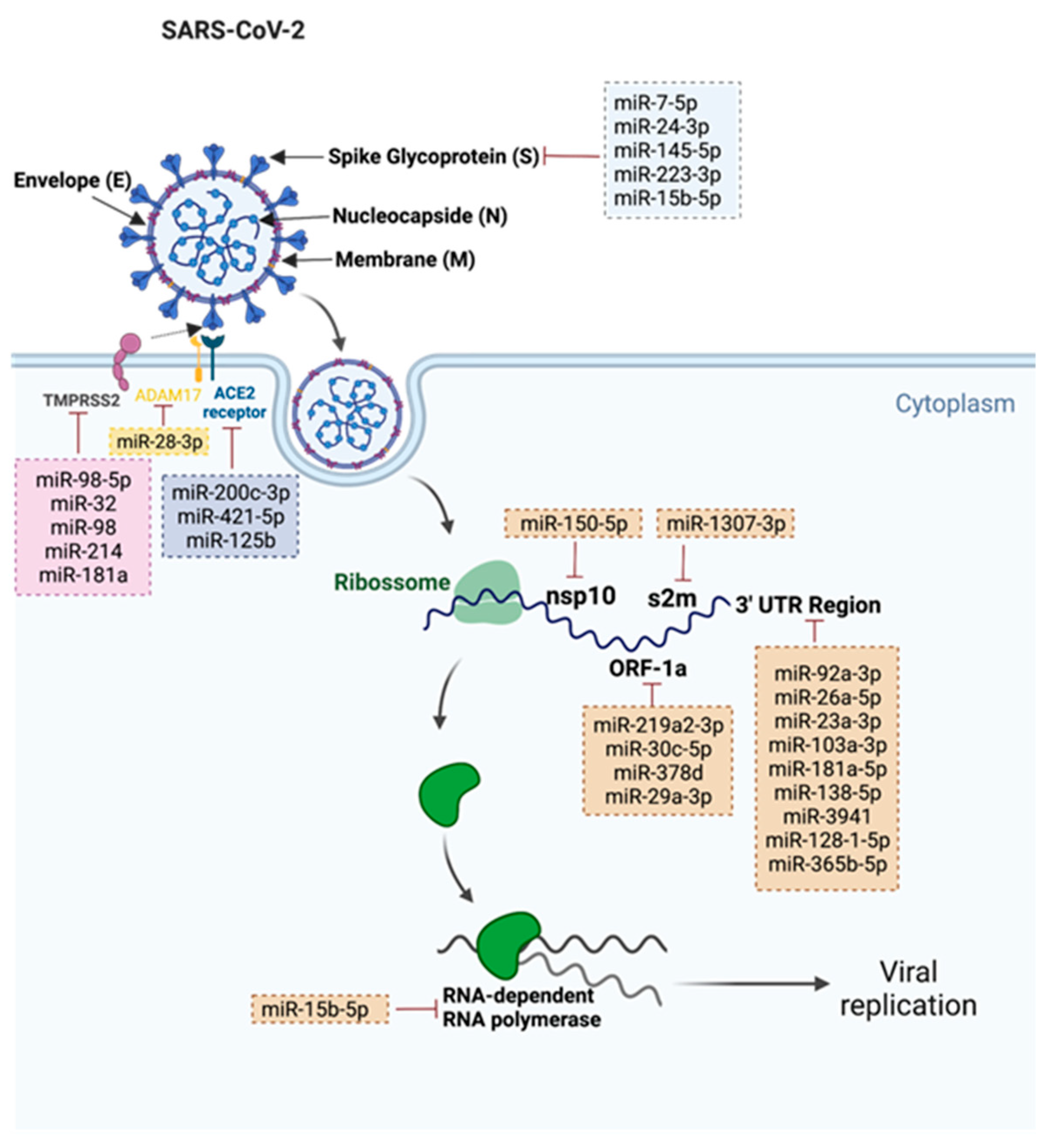 Cells 11 02279 g001 550