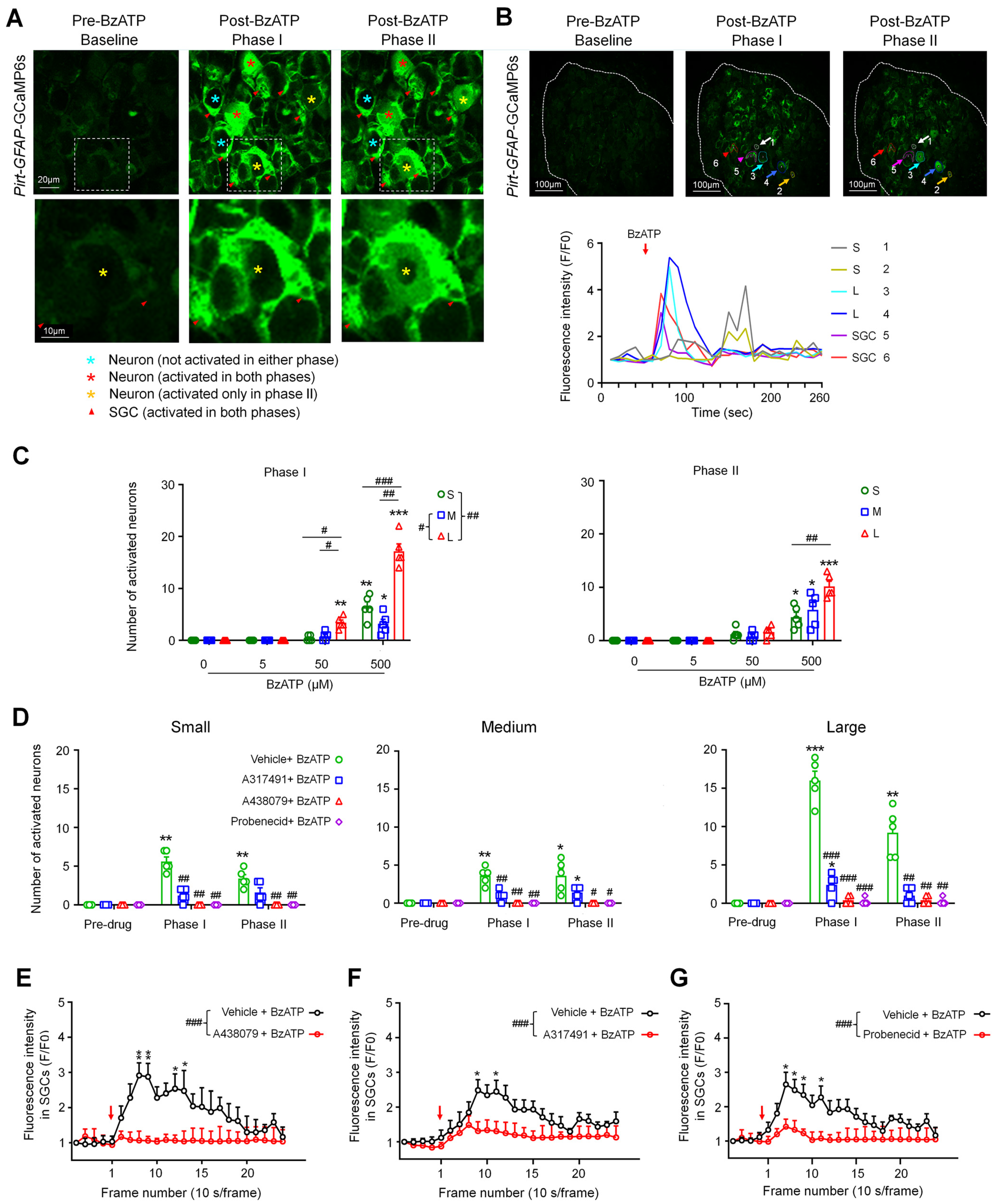 Cells 11 02280 g003 550