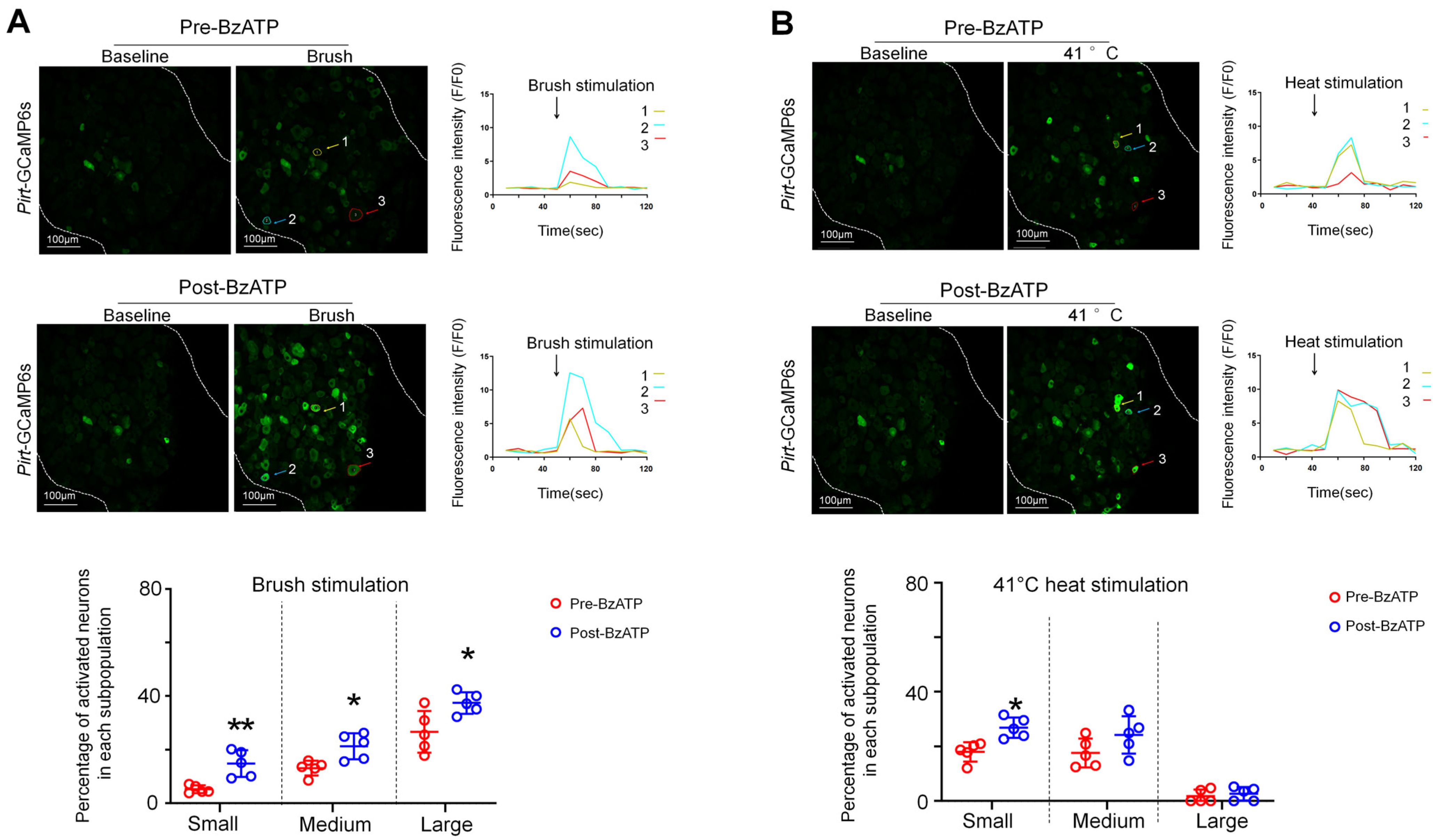 Cells 11 02280 g004 550