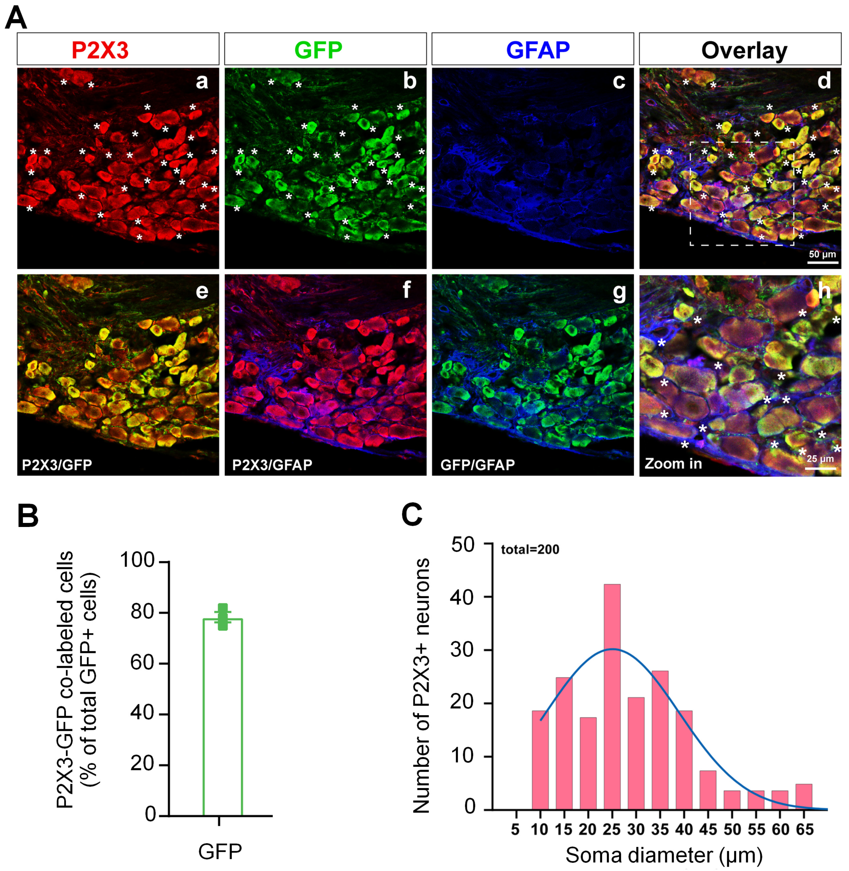 Cells 11 02280 g006 550