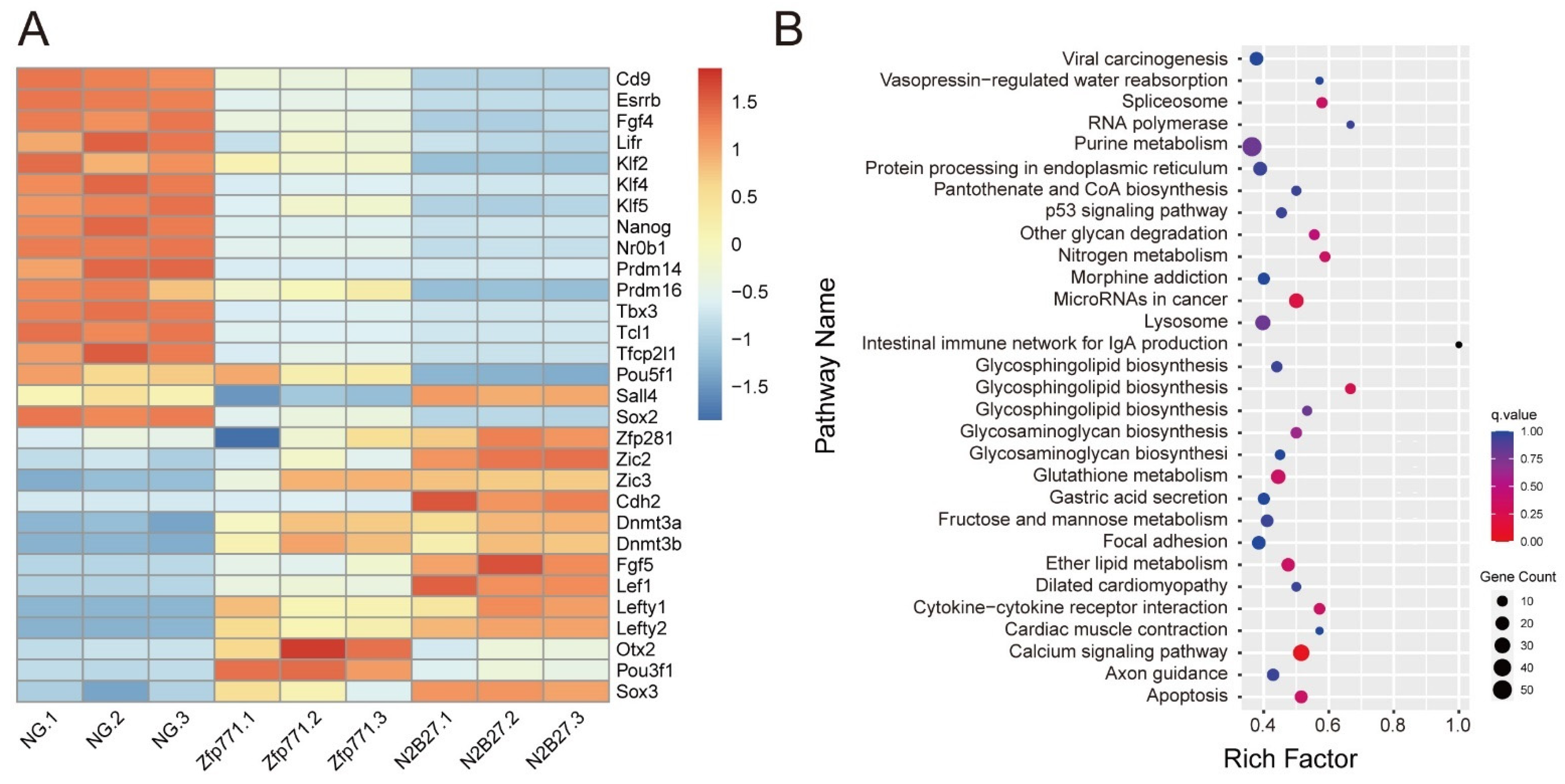Cells 11 02289 g007 550