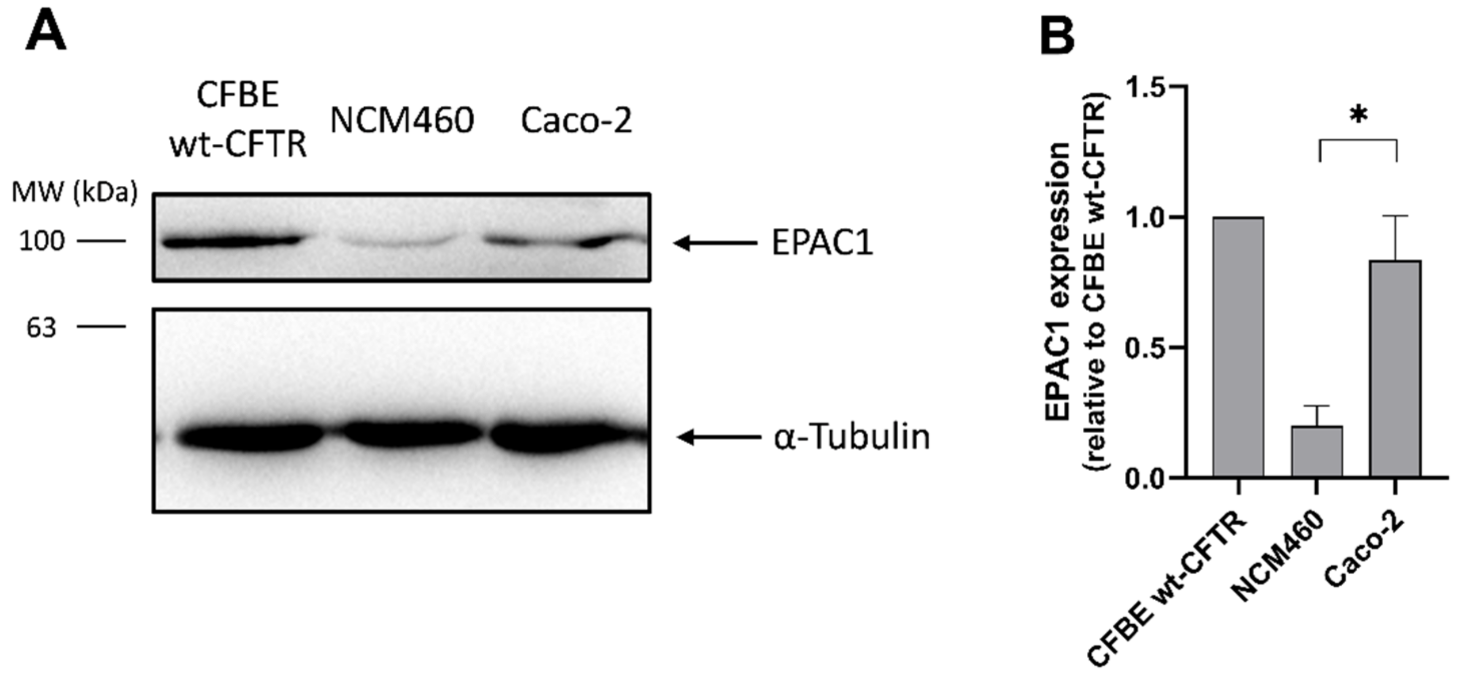 Cells 11 02295 g004 550
