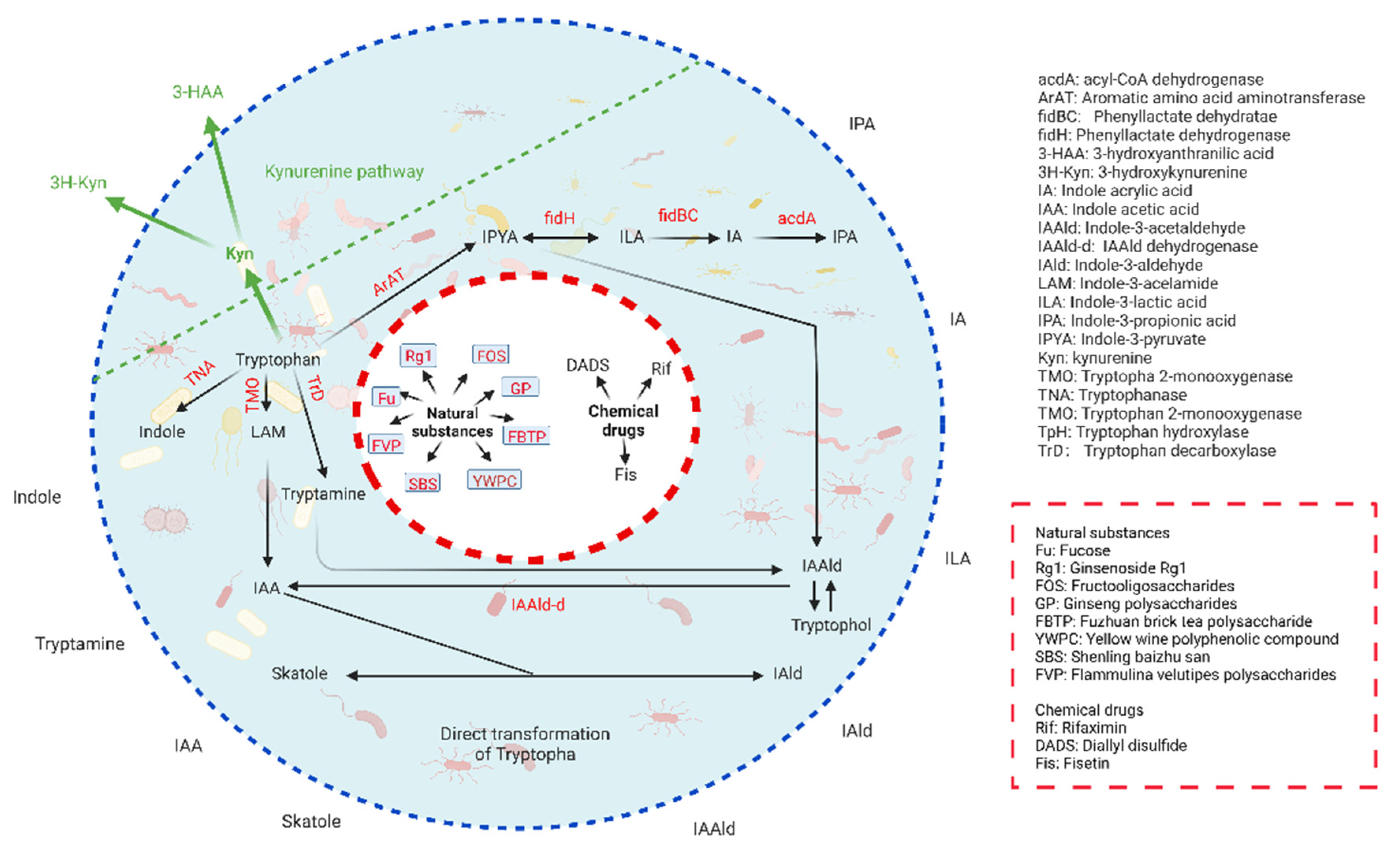 Cells 11 02296 g001 550