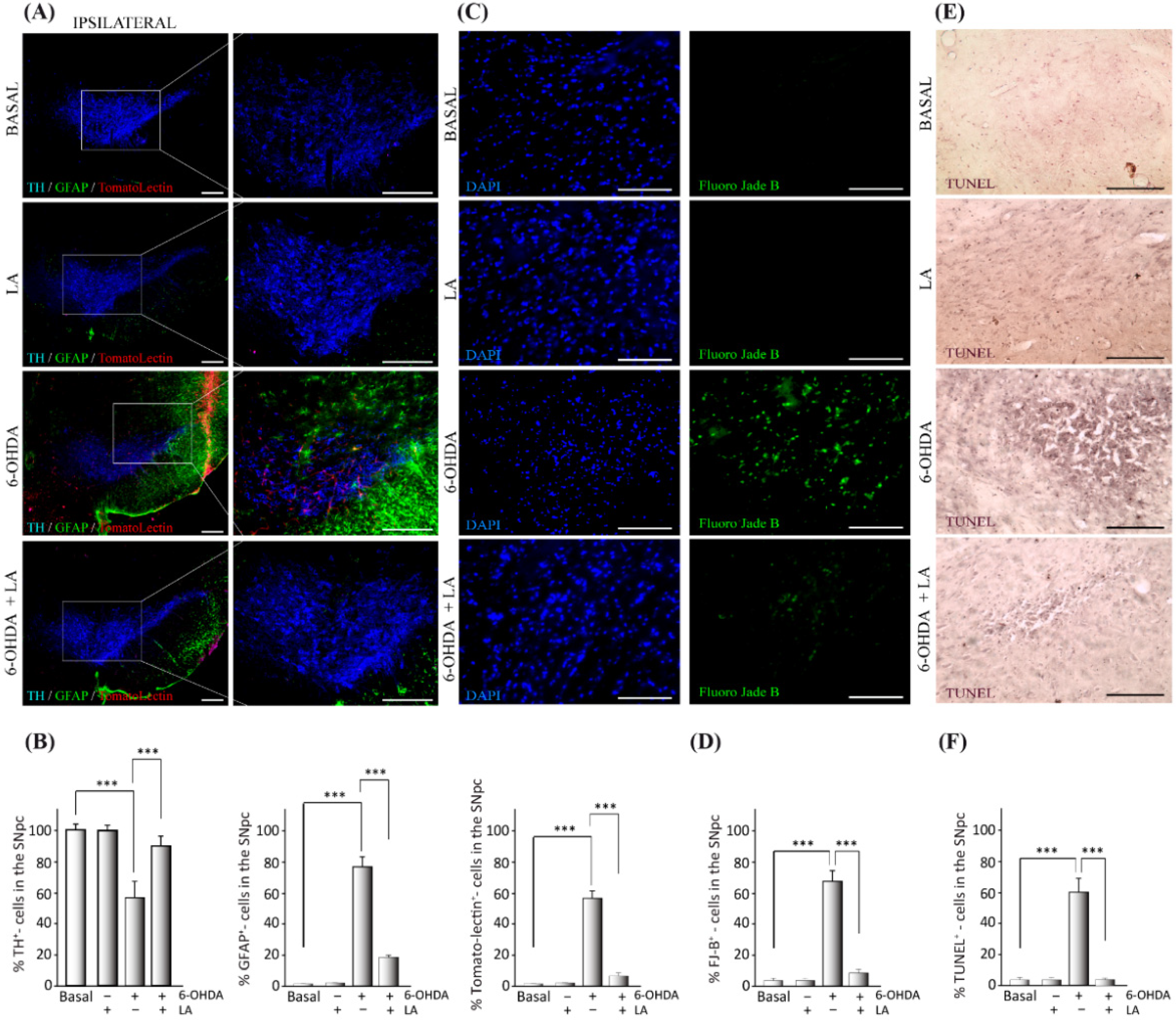 Cells 11 02297 g001 550
