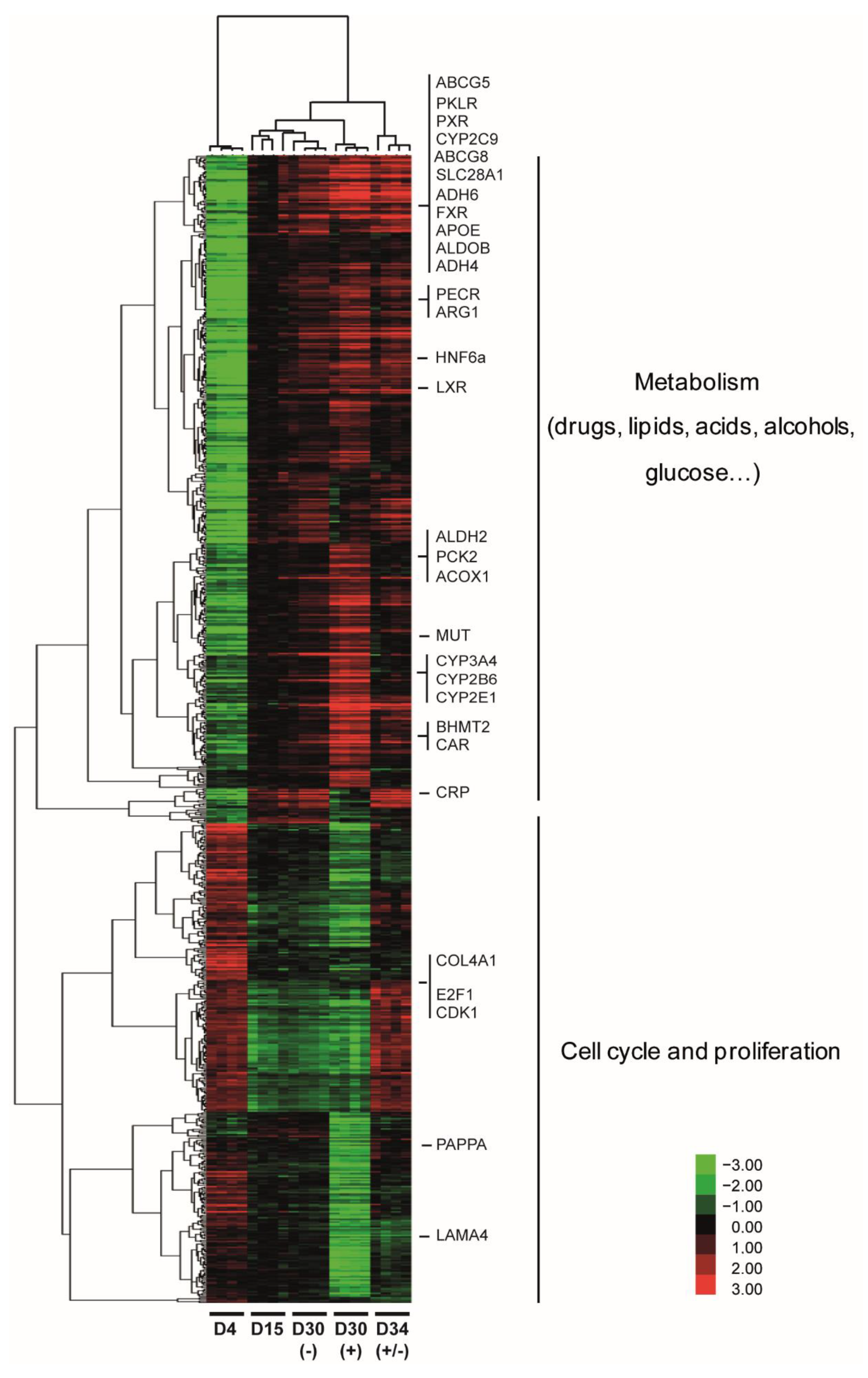 Tips and tricks for performing RNA-seq analyses in IPA - tv