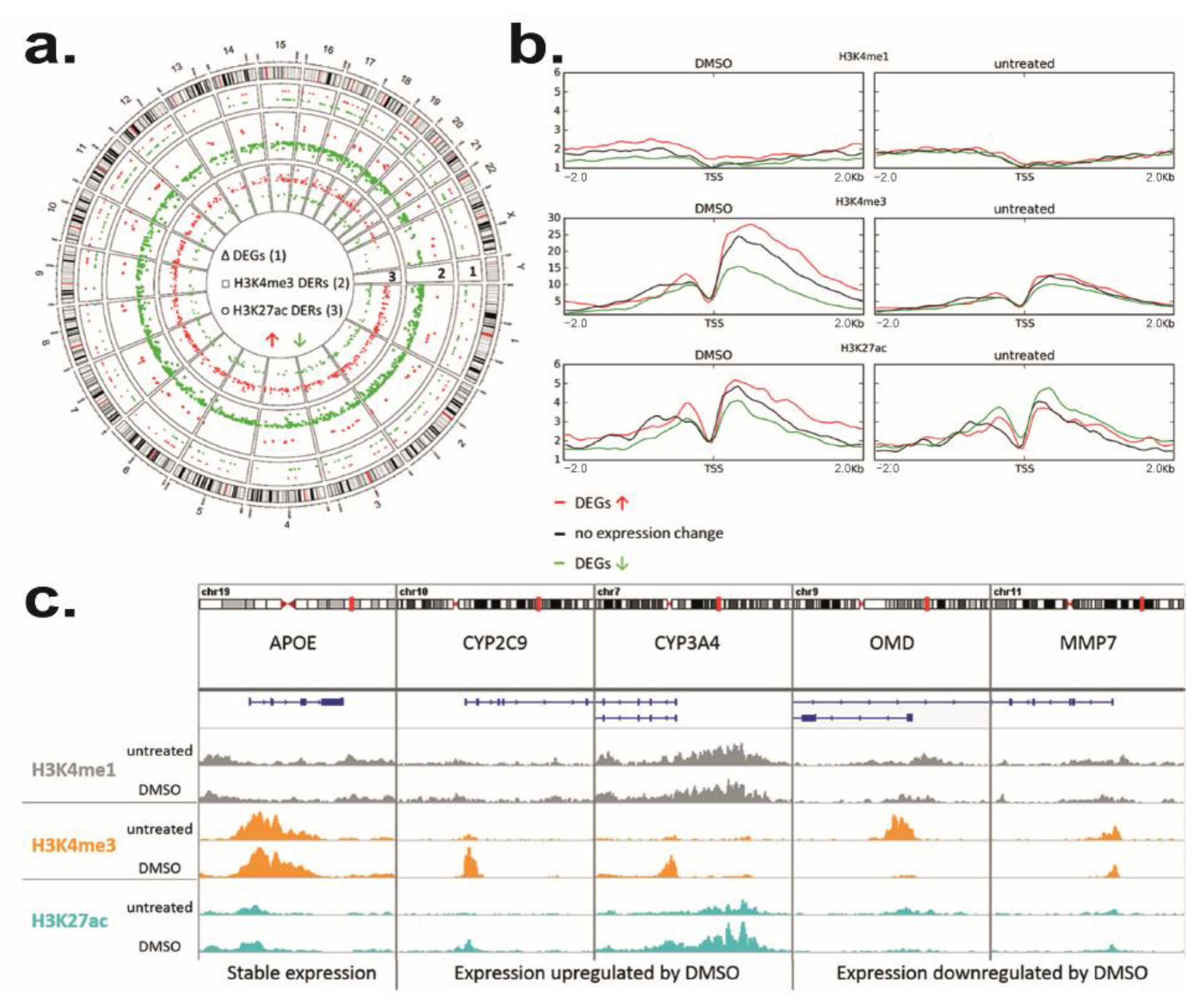 Cells 11 02298 g004 Cells 11 02298 g004