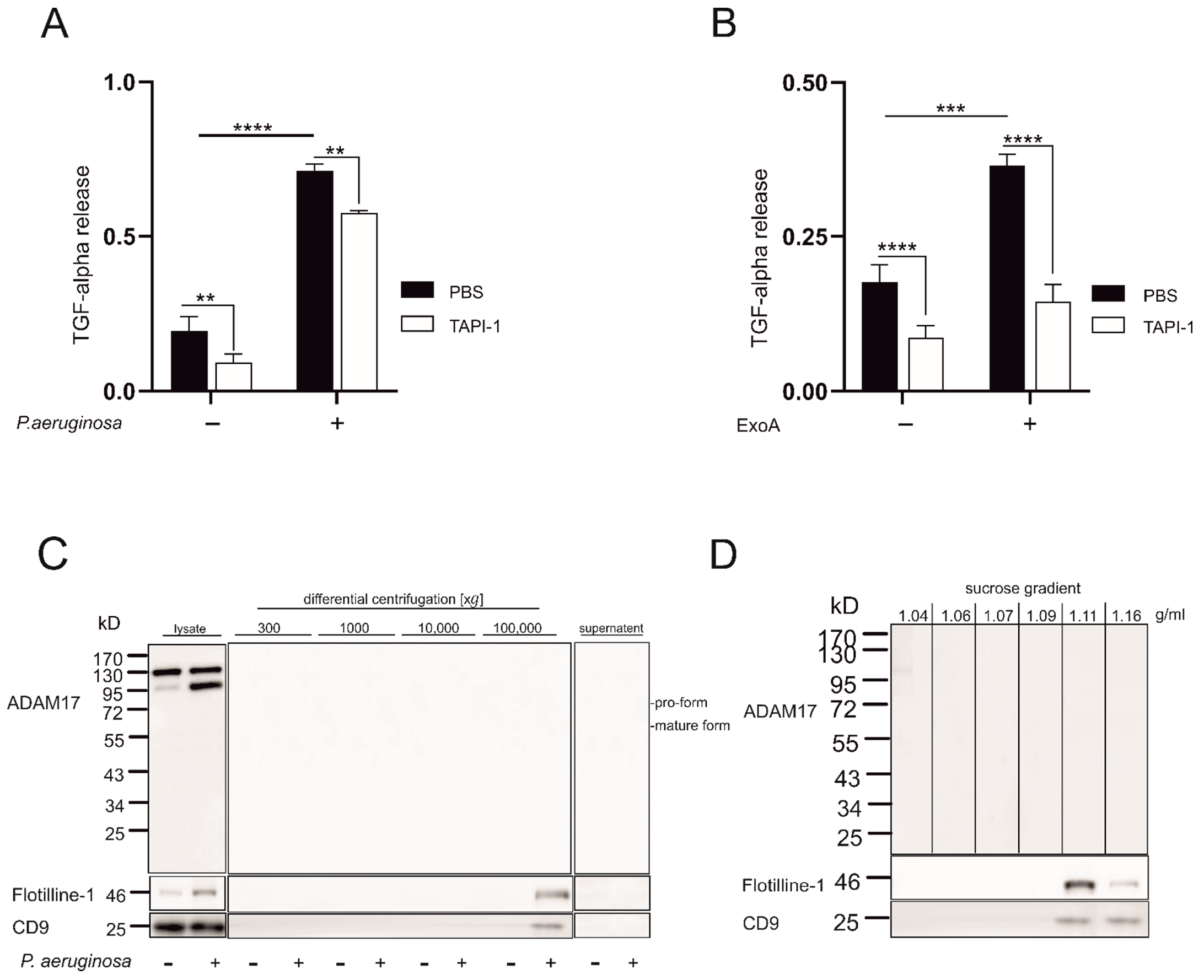 Cells 11 02303 g002 Cells 11 02303 g002