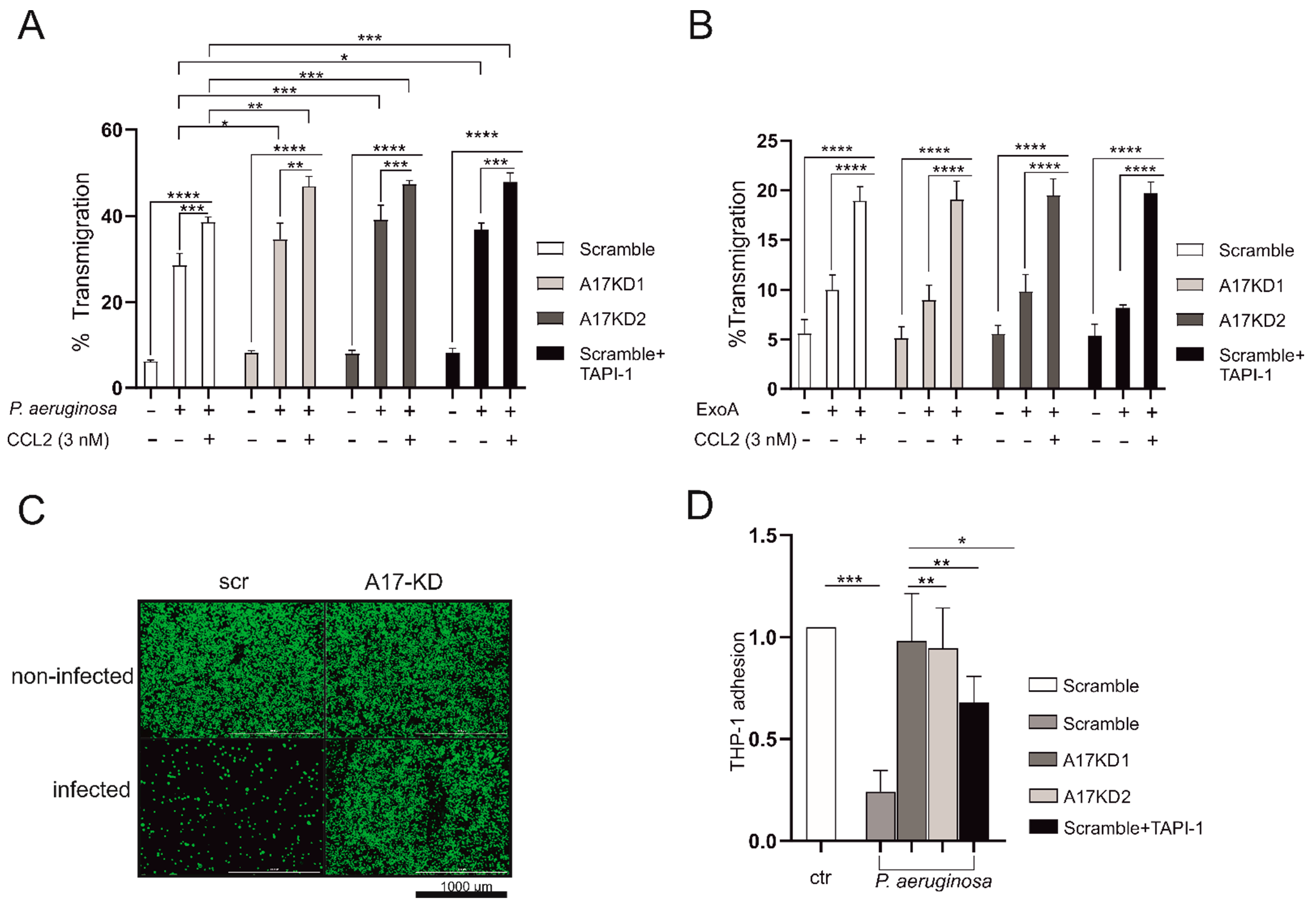 Cells 11 02303 g005 Cells 11 02303 g005