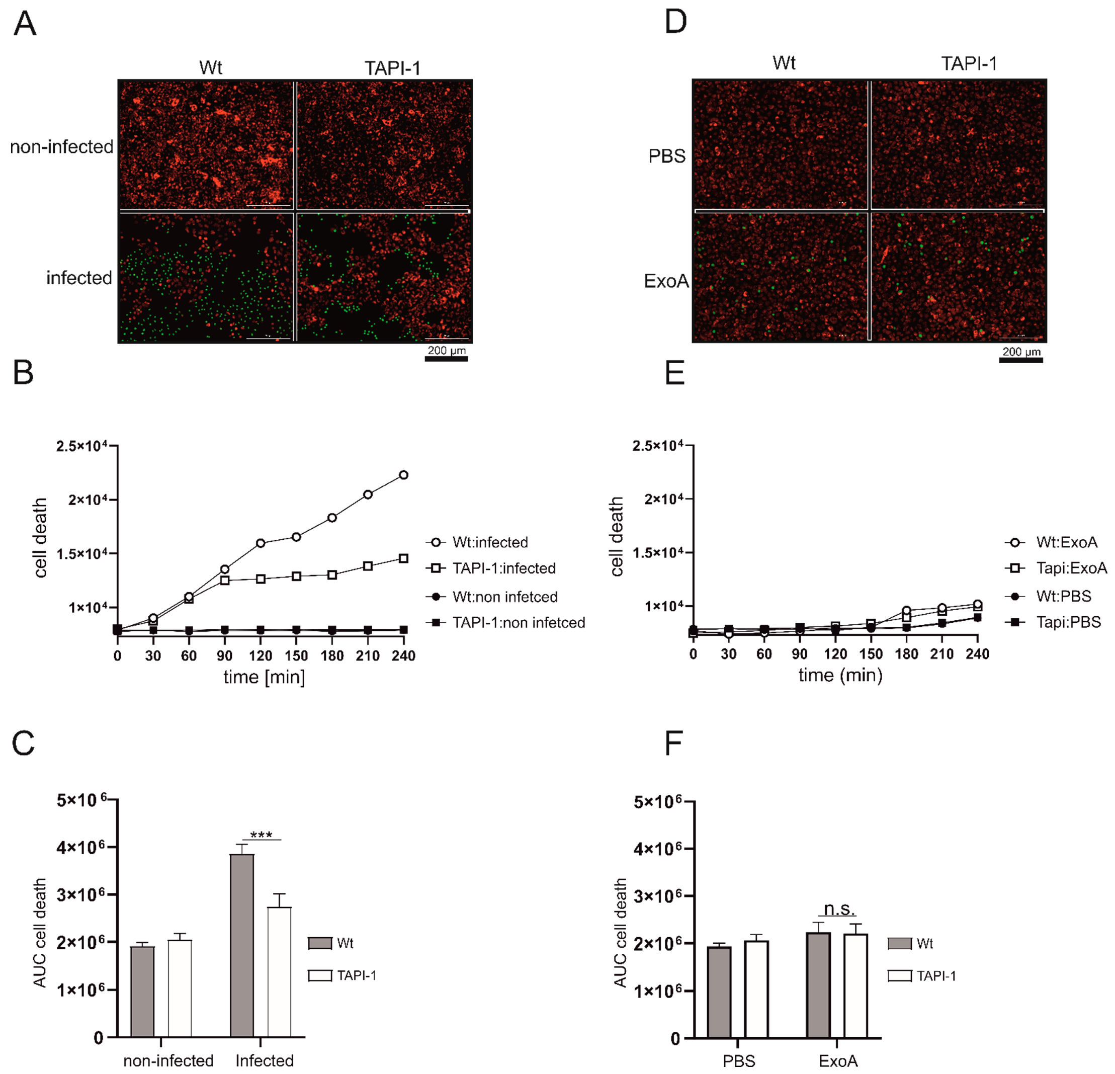 Cells 11 02303 g006 Cells 11 02303 g006