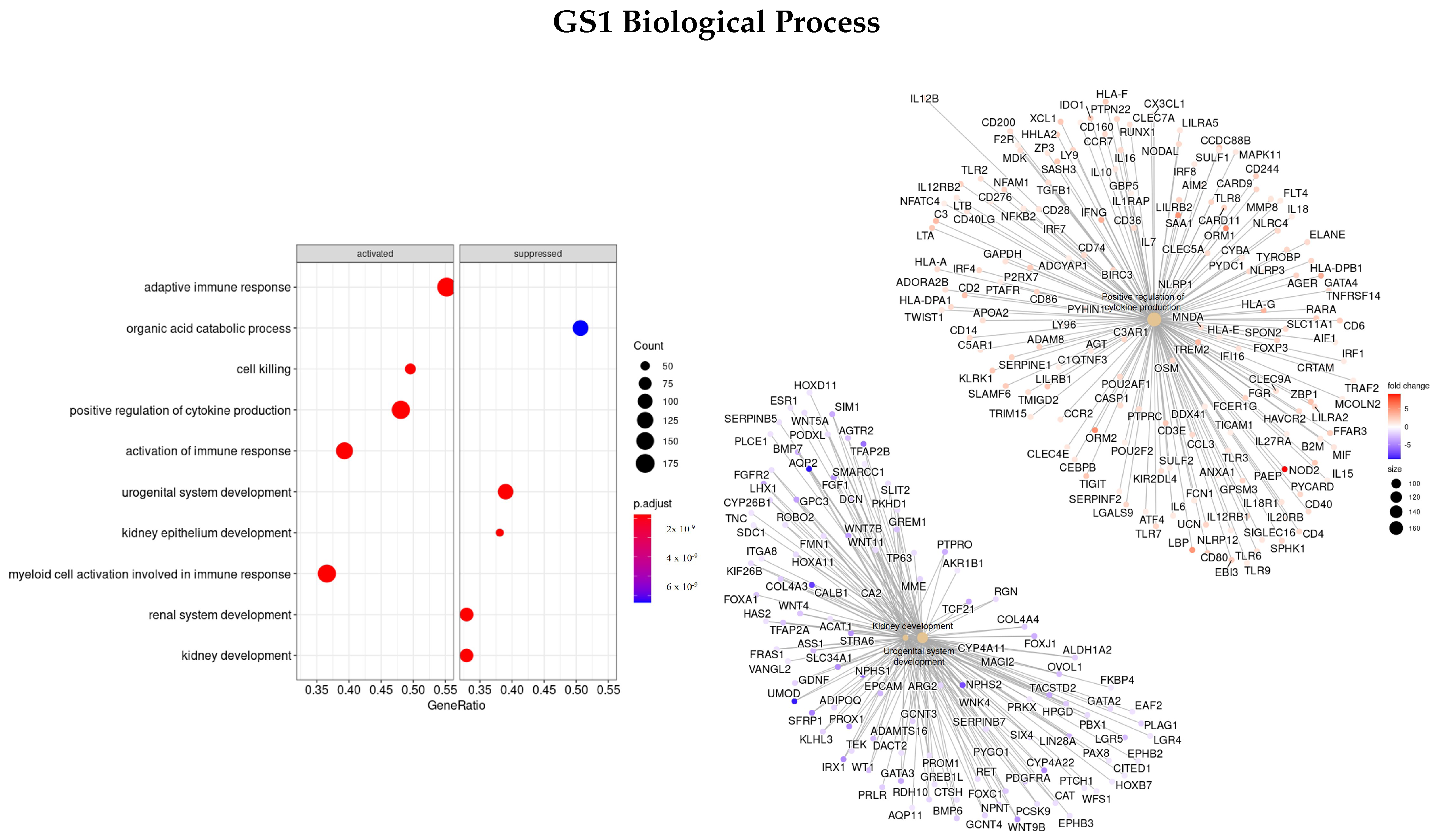 Cells 11 02311 g001 550