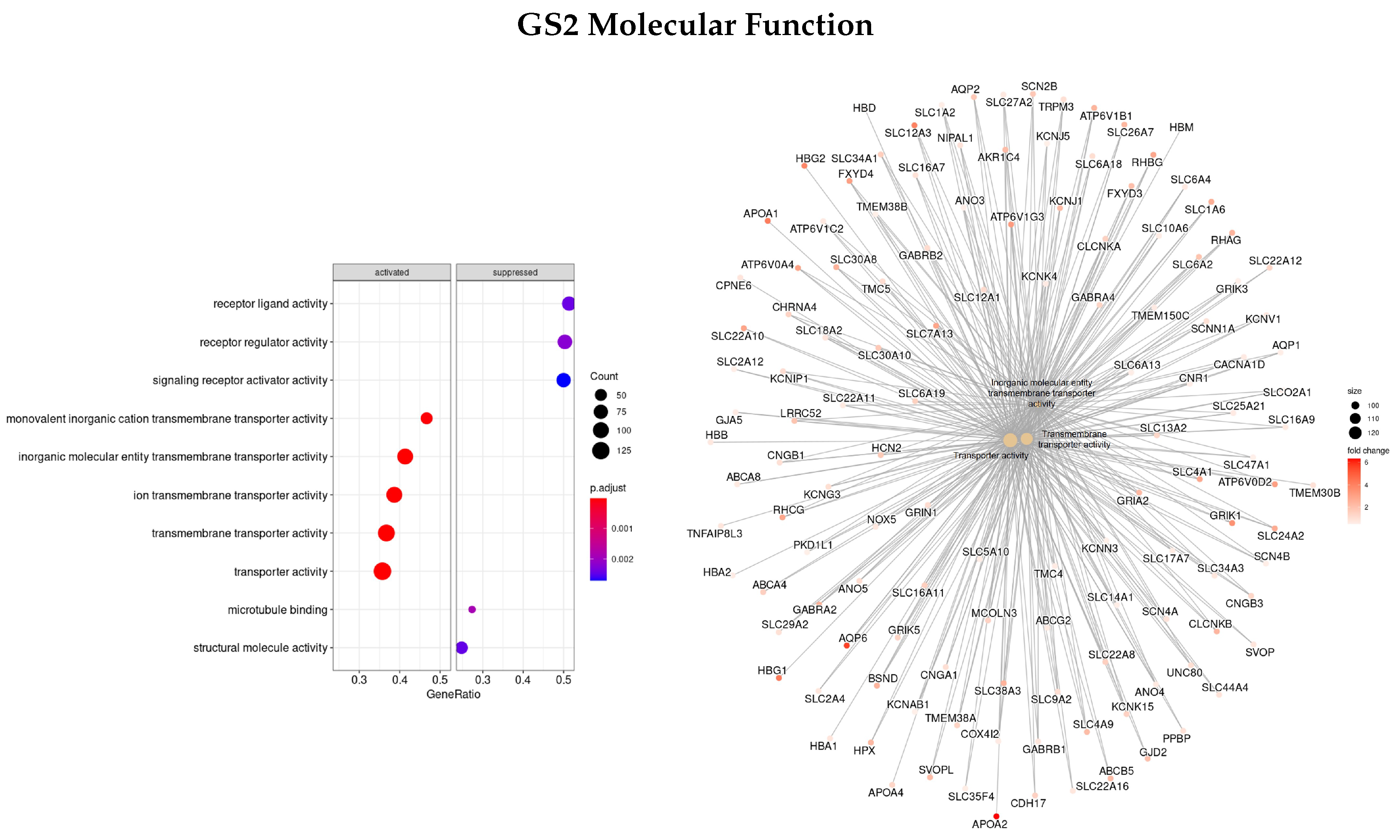 Cells 11 02311 g005 550