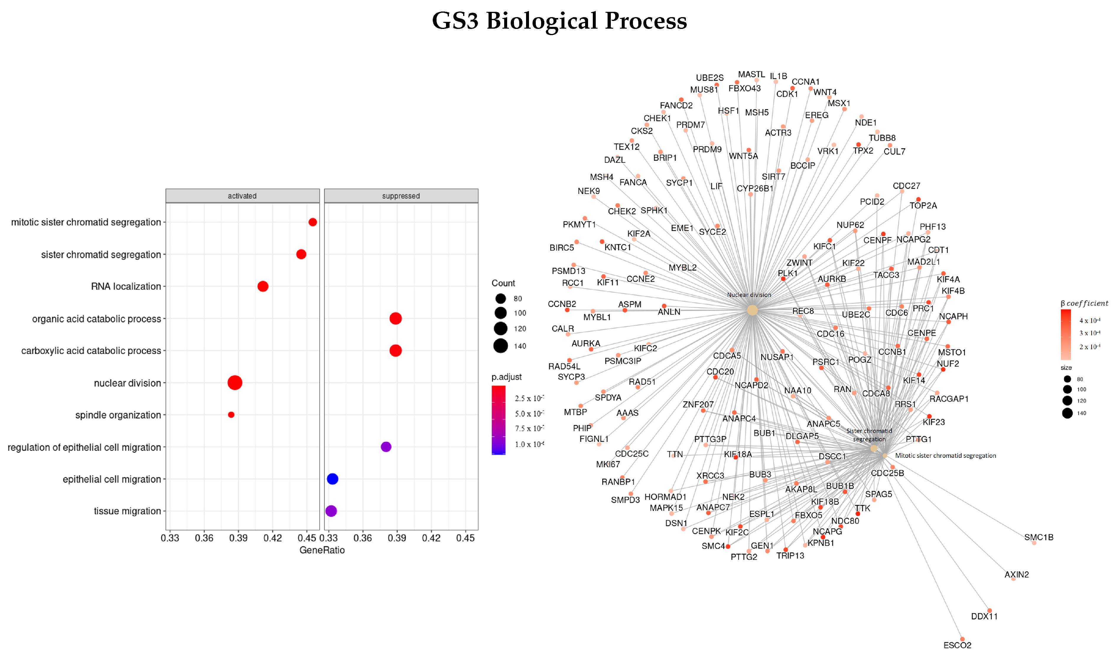 Cells 11 02311 g007 550