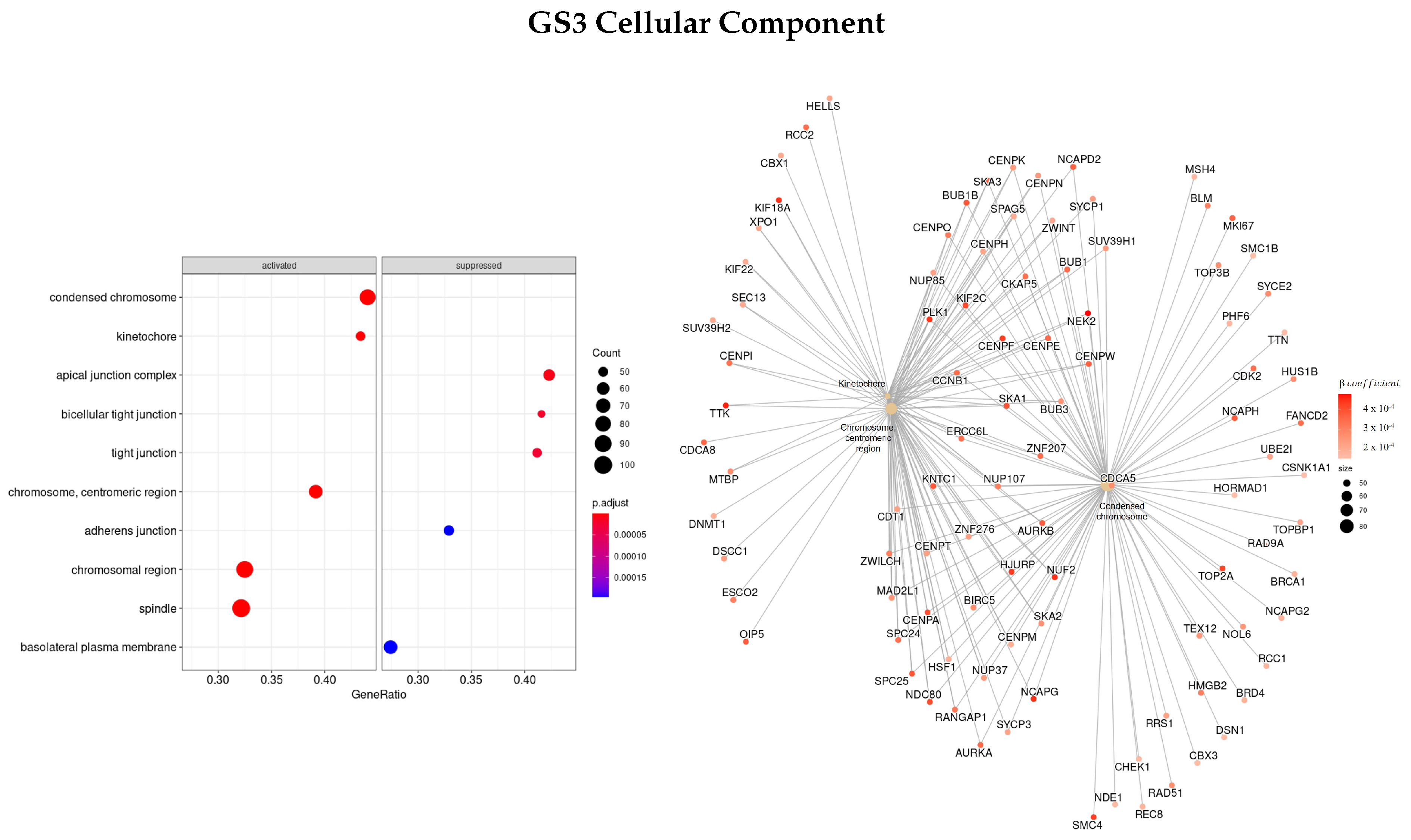 Cells 11 02311 g009 550