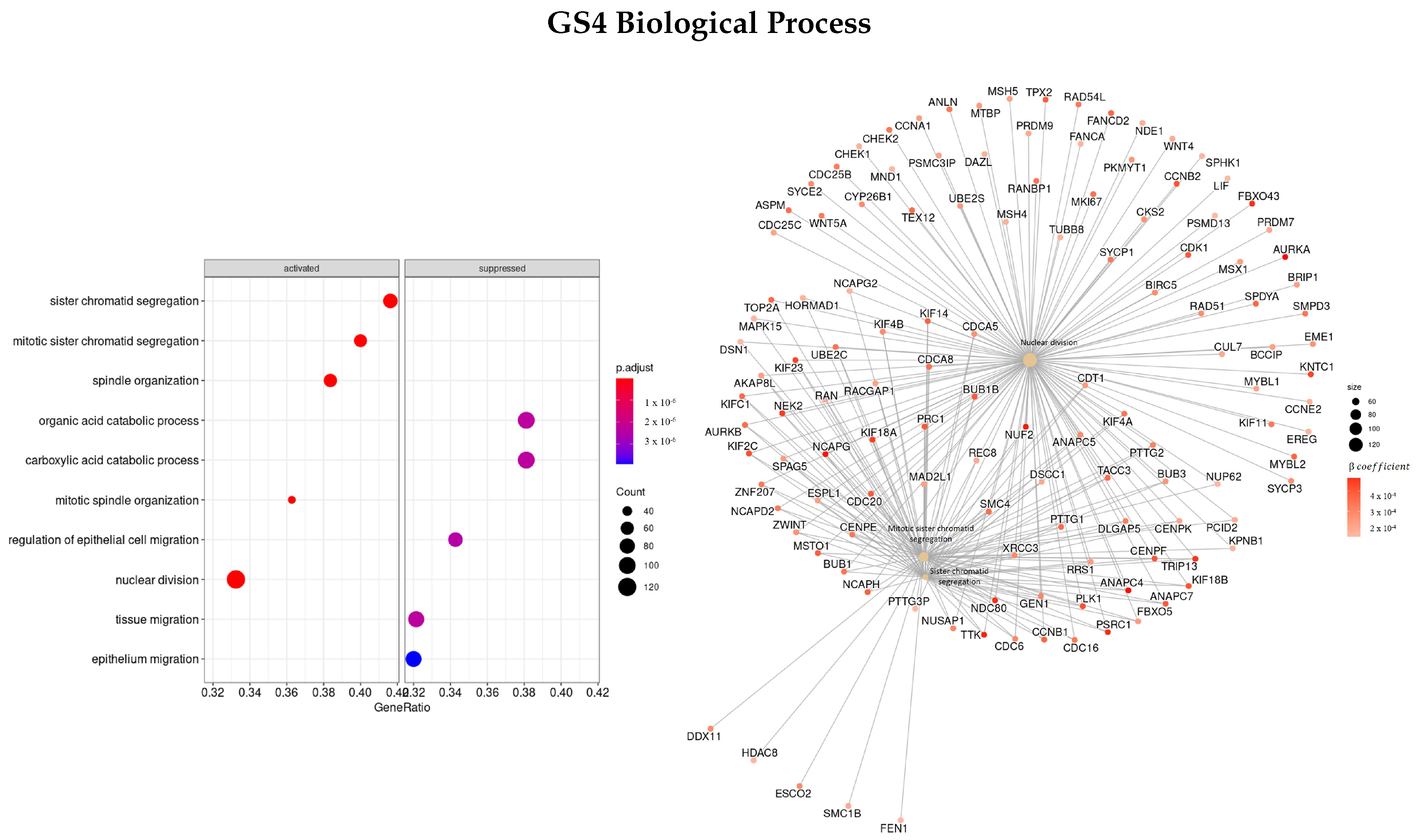 Cells 11 02311 g010 550