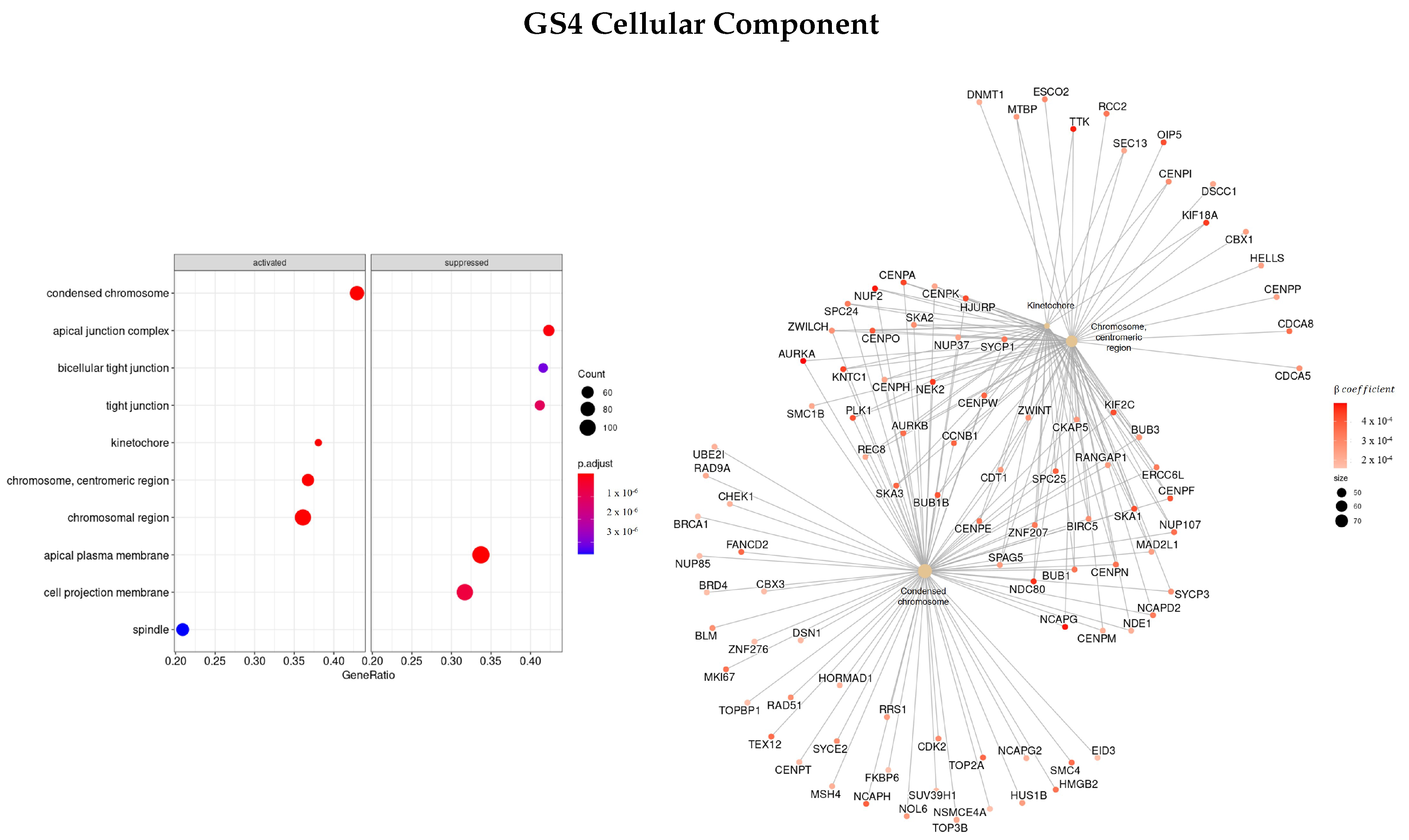 Cells 11 02311 g012 550