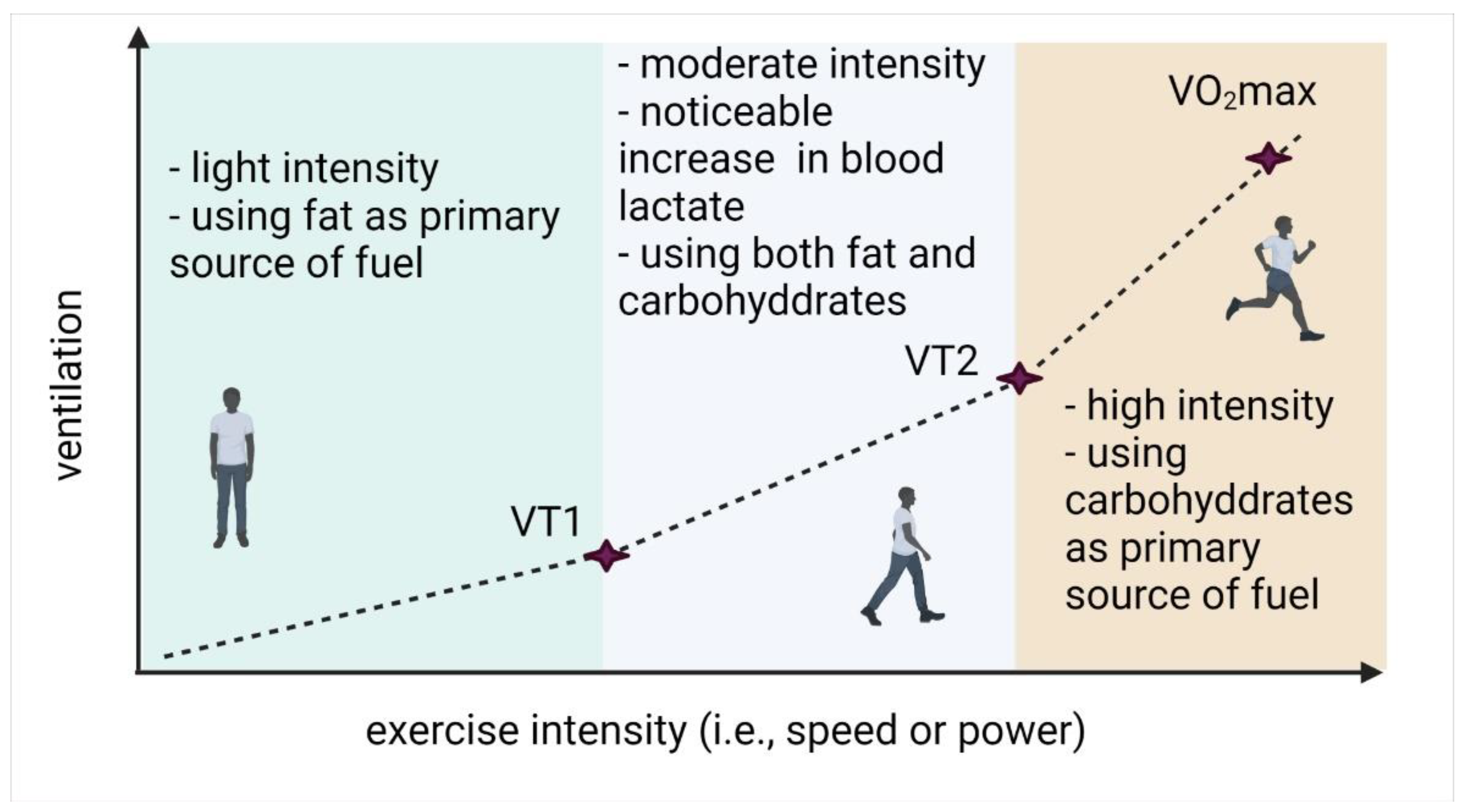 Cells 11 02317 g001 550