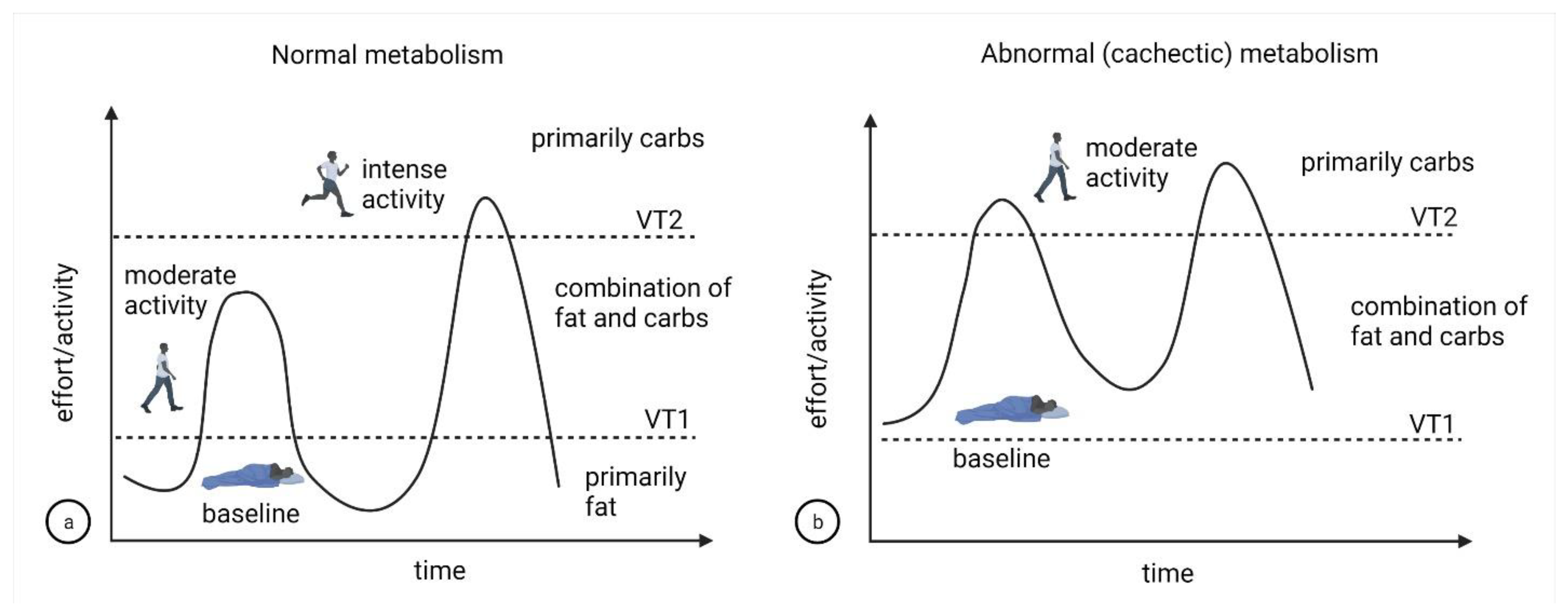 Cells 11 02317 g004 550