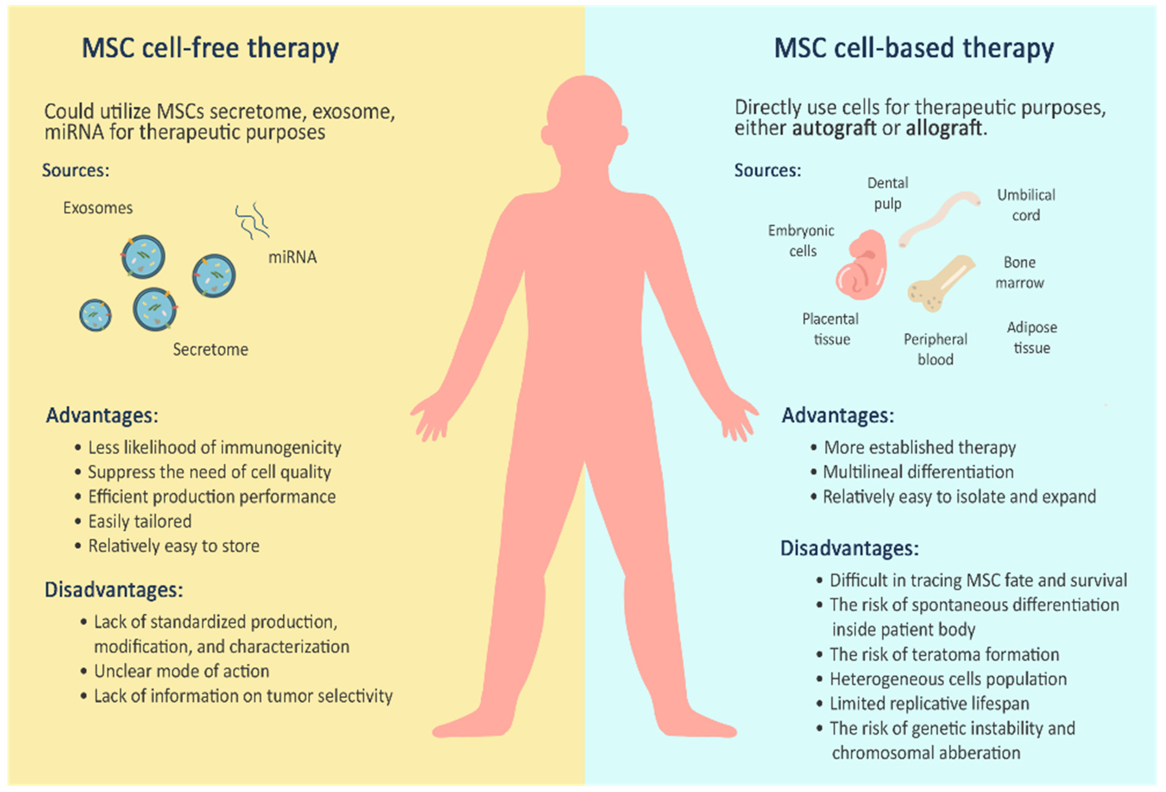 what are the advantages and disadvantages of embryonic stem cells