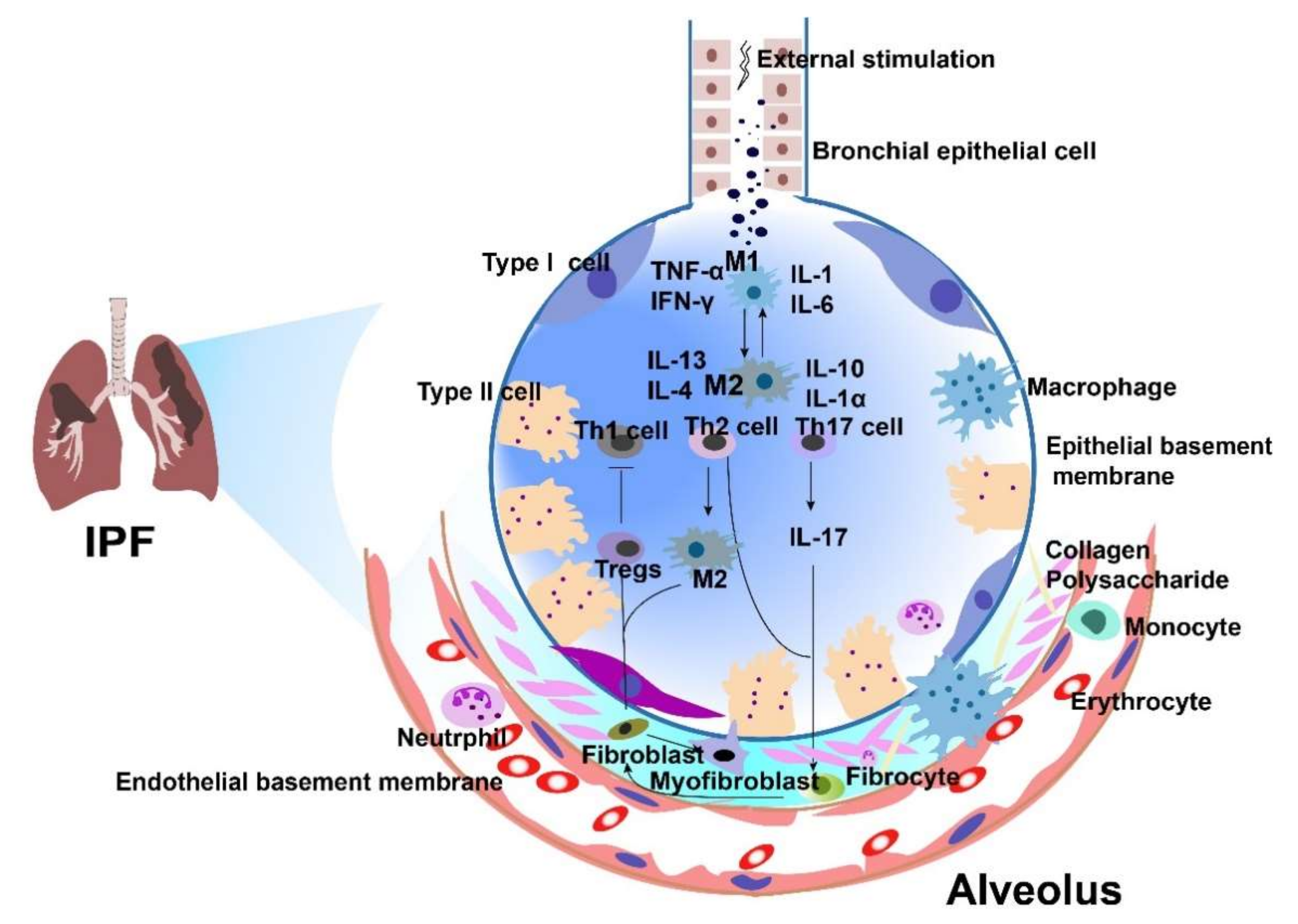 Cells 11 02322 g002 550