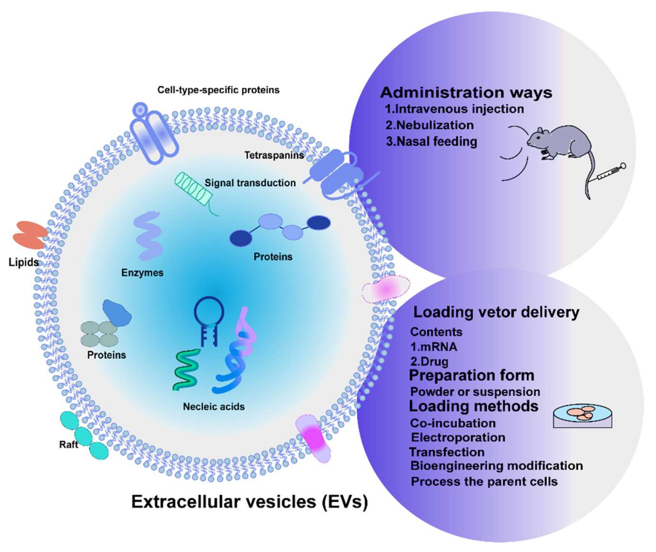 Cells 11 02322 g003 550