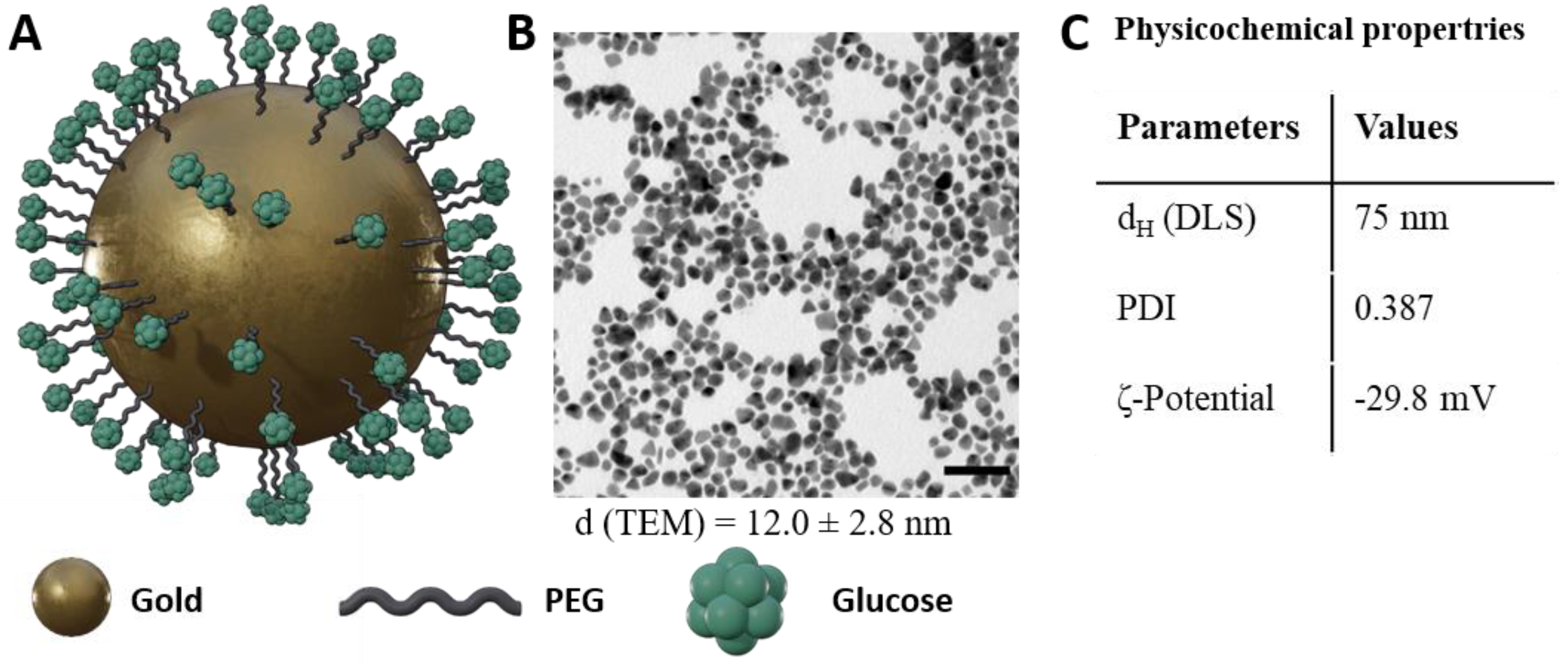 Cells 11 02323 g001 550