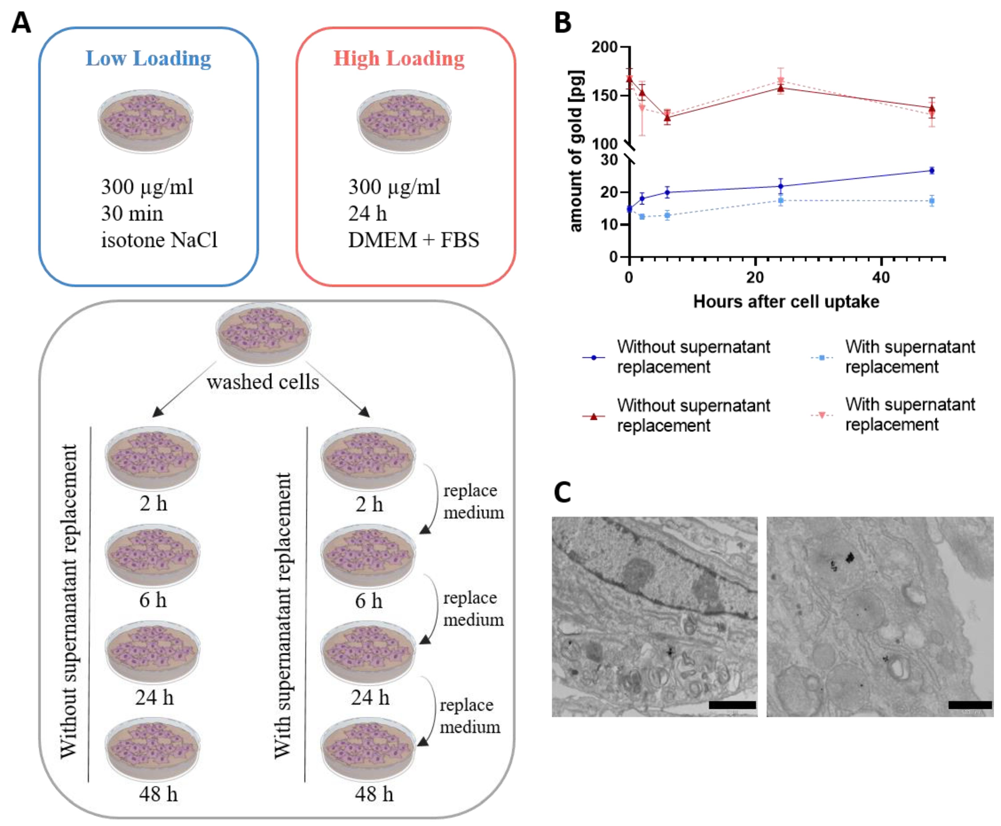 Cells 11 02323 g002 550