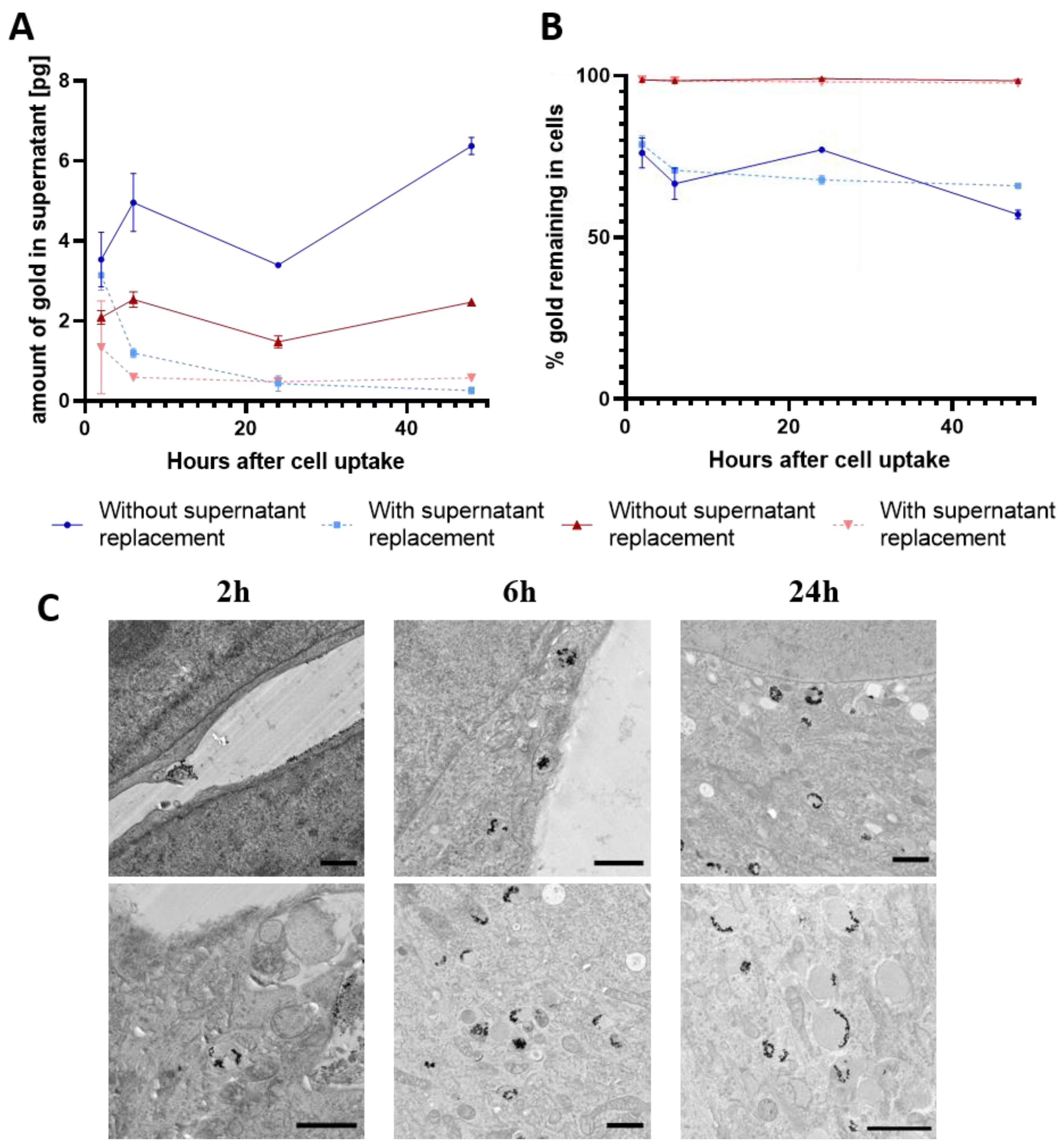 Cells 11 02323 g003 550