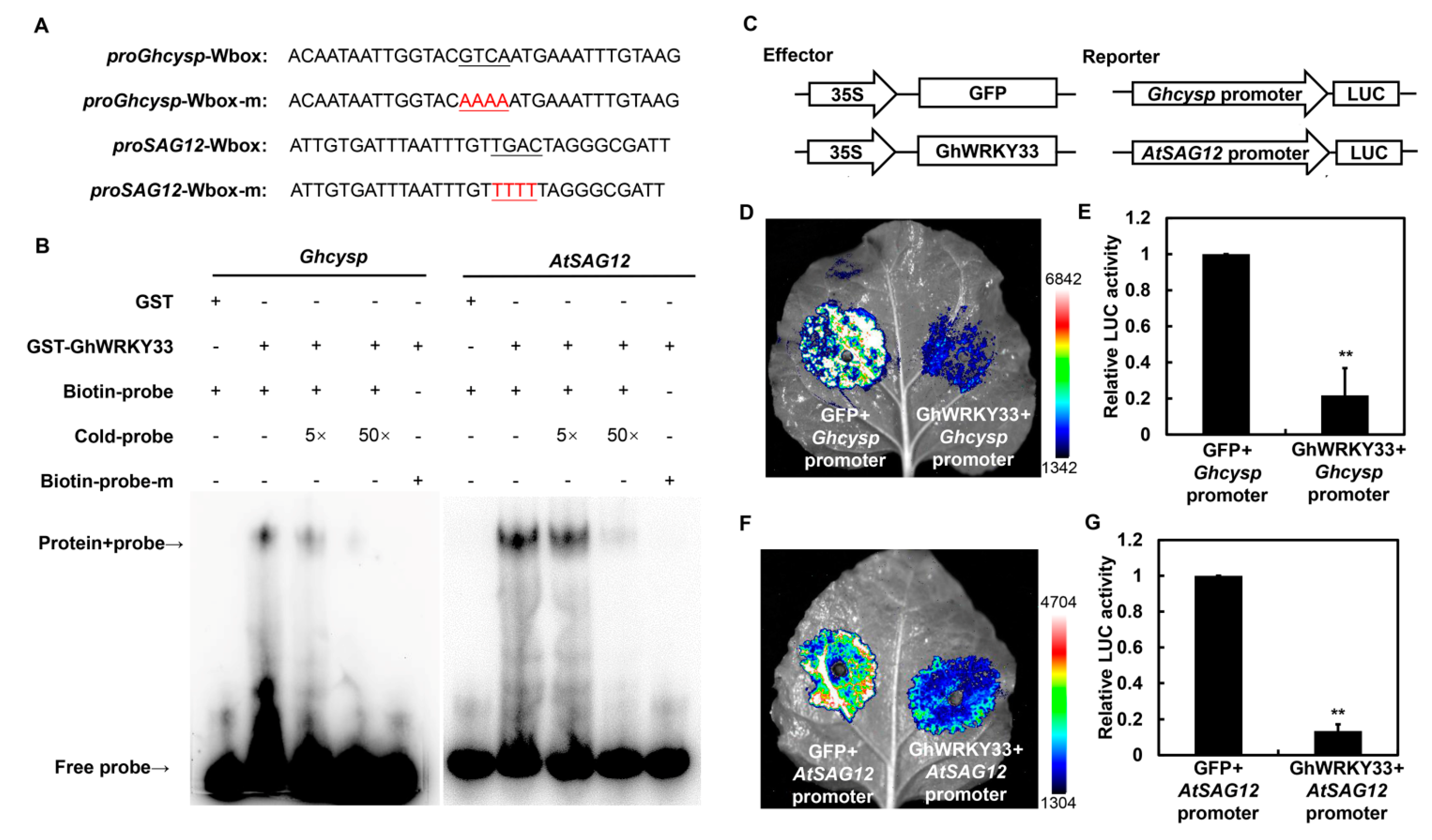 Cells 11 02328 g003 550