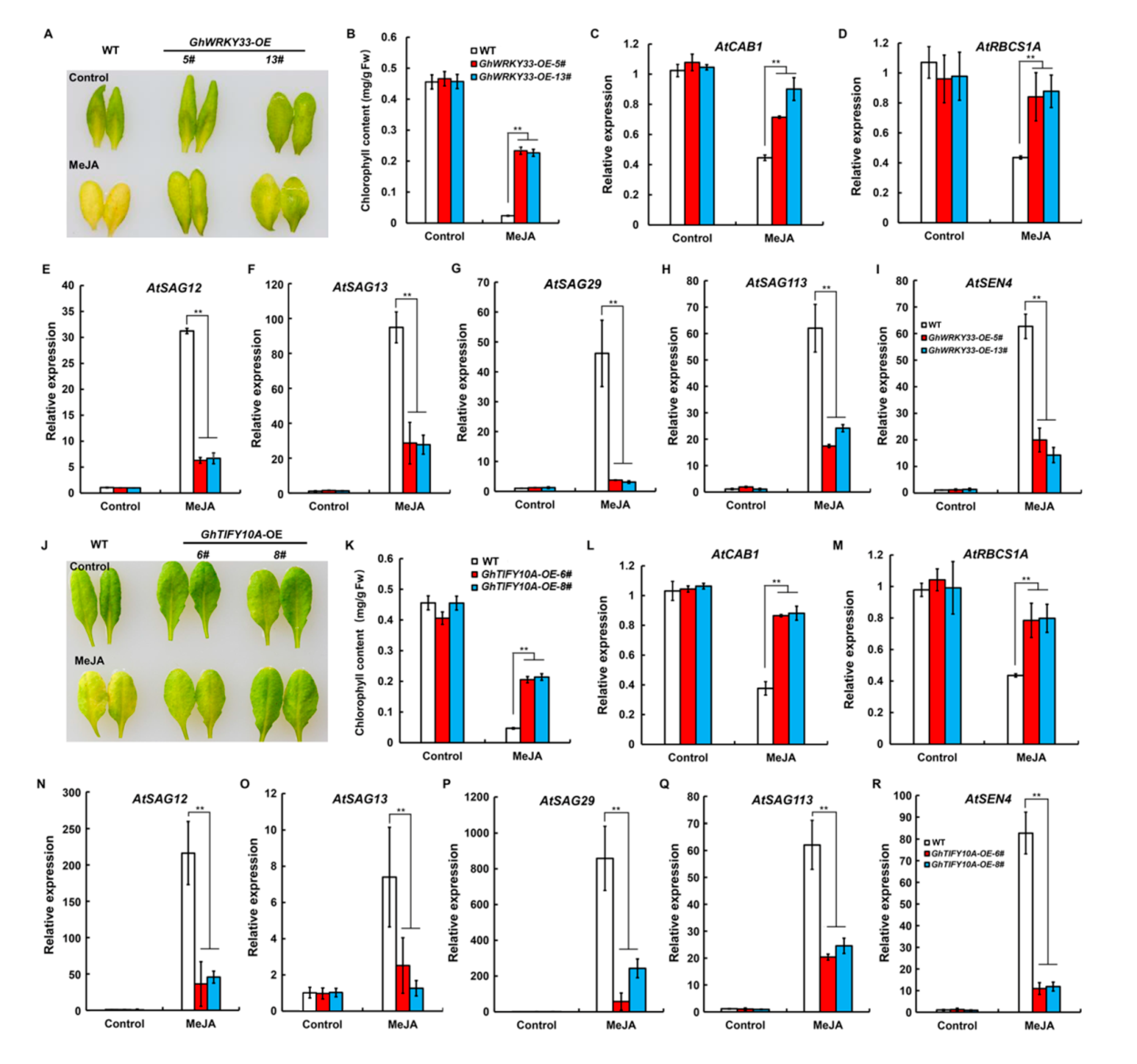 Cells 11 02328 g006 550