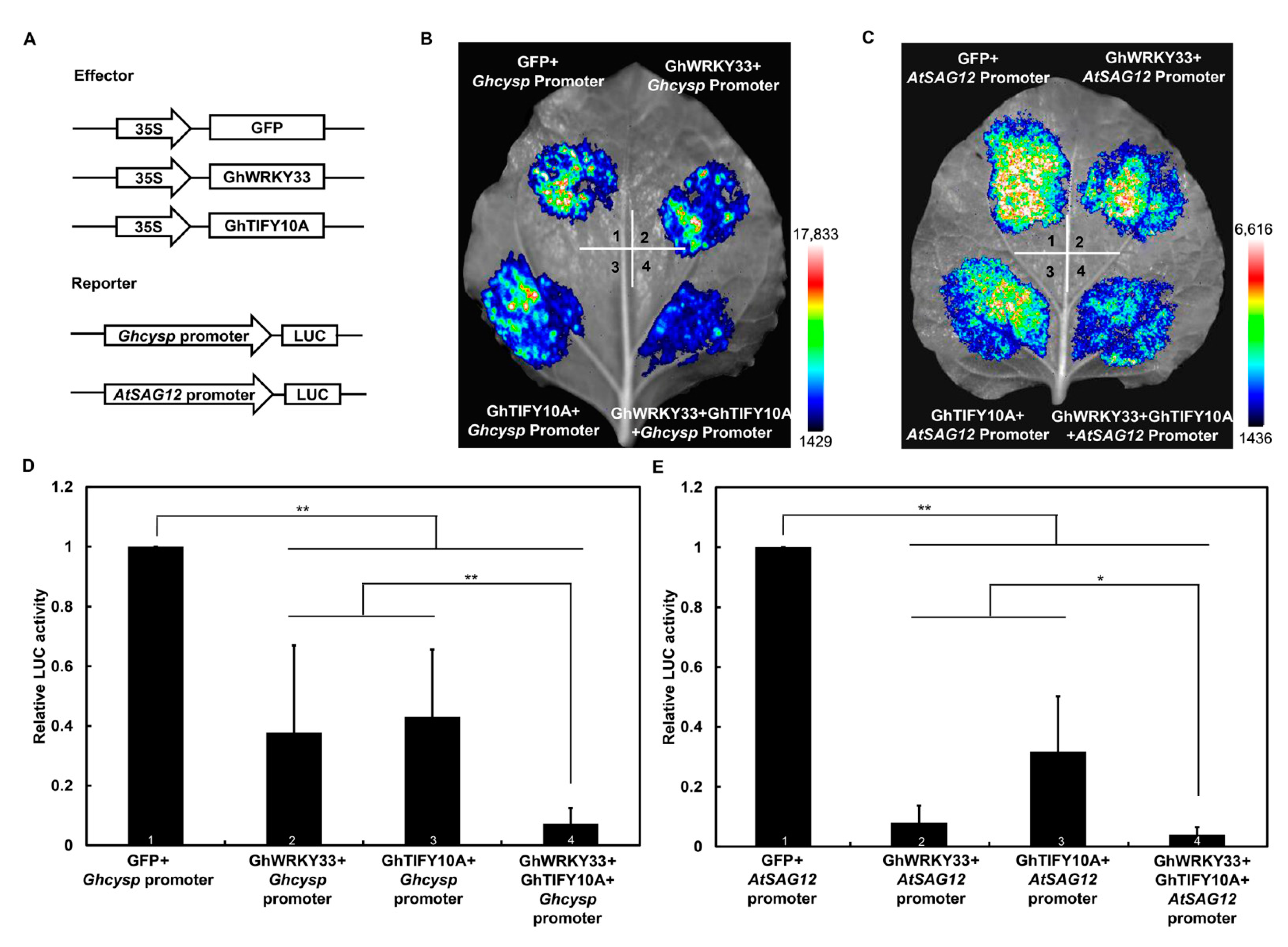 Cells 11 02328 g007 550
