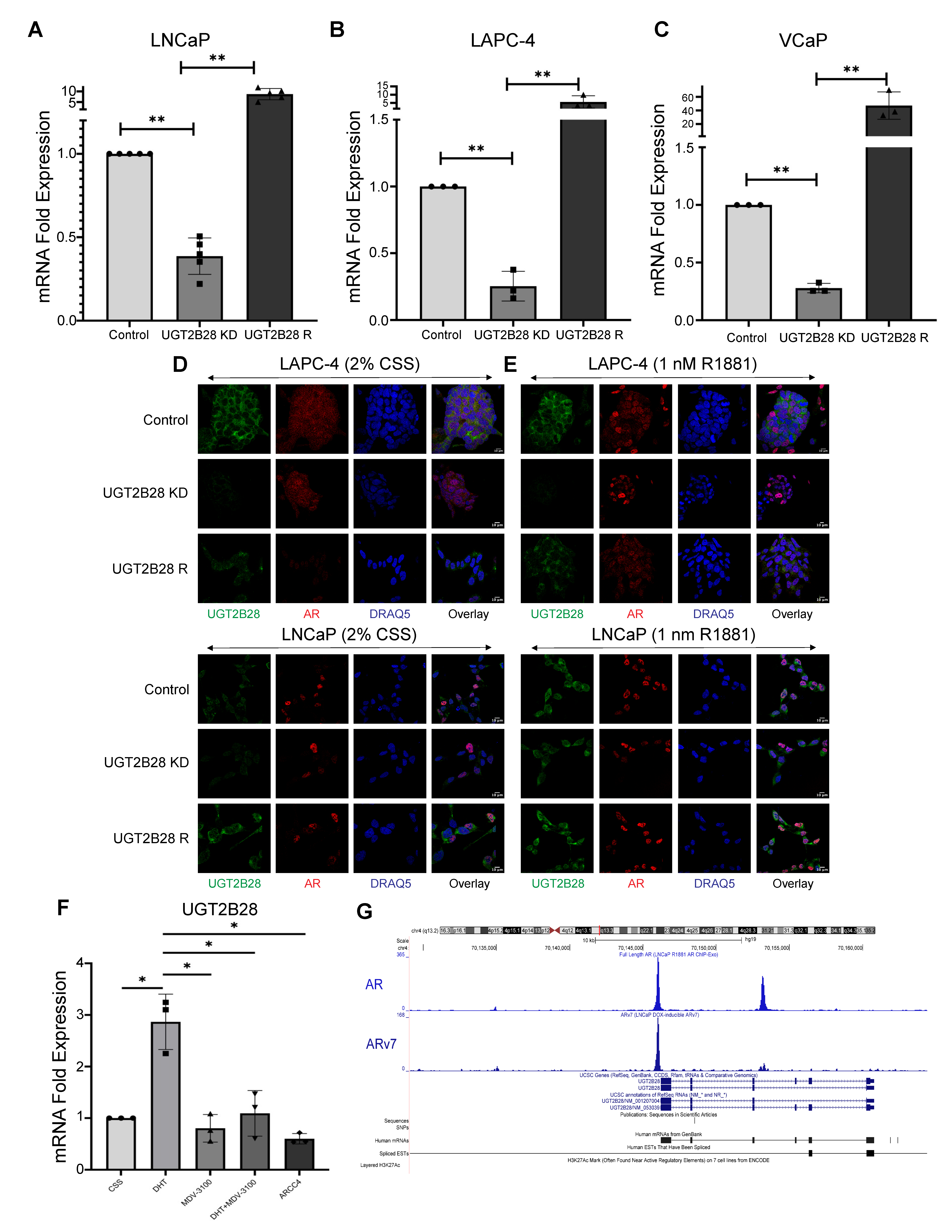 Cells 11 02329 g002 550