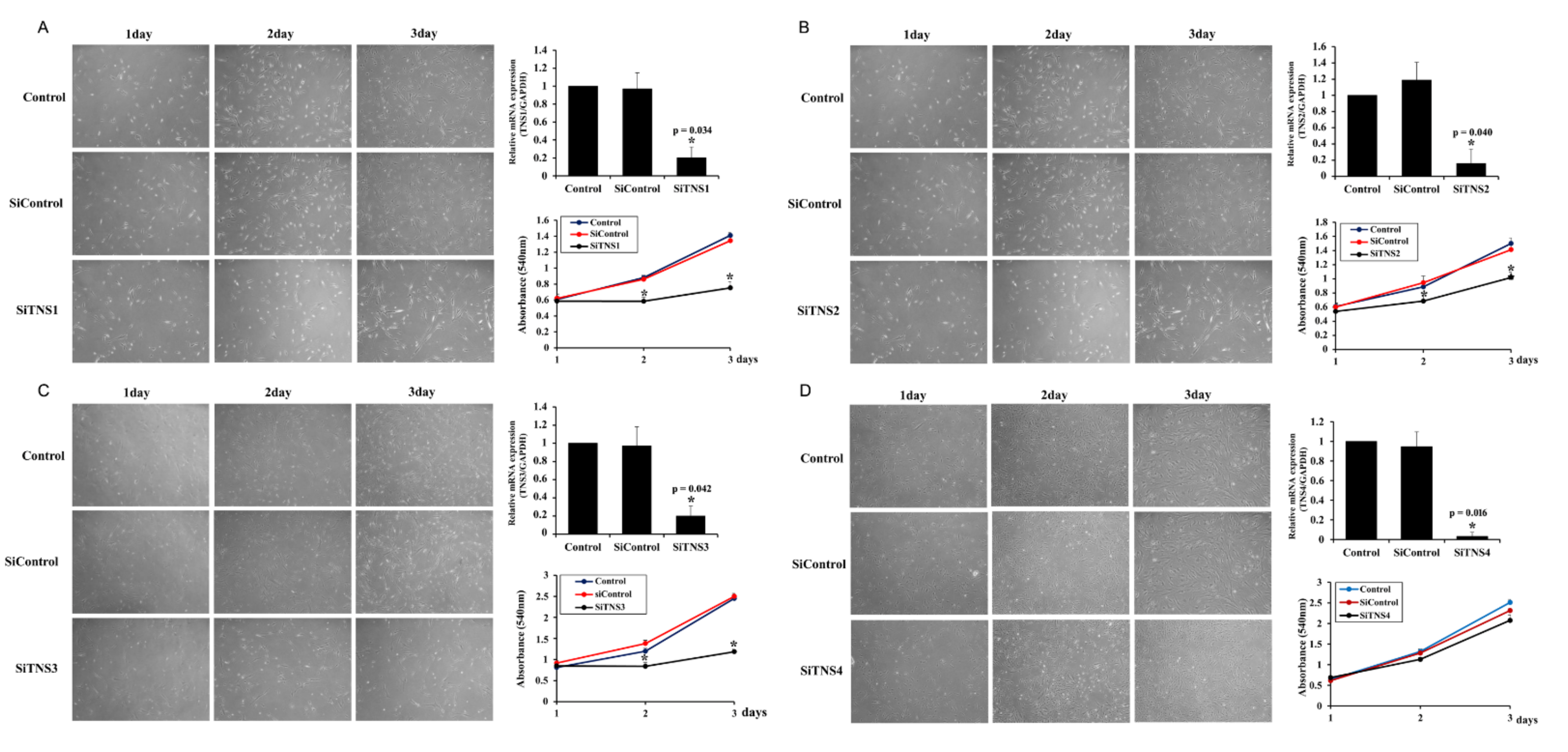 Cells 11 02333 g001 550