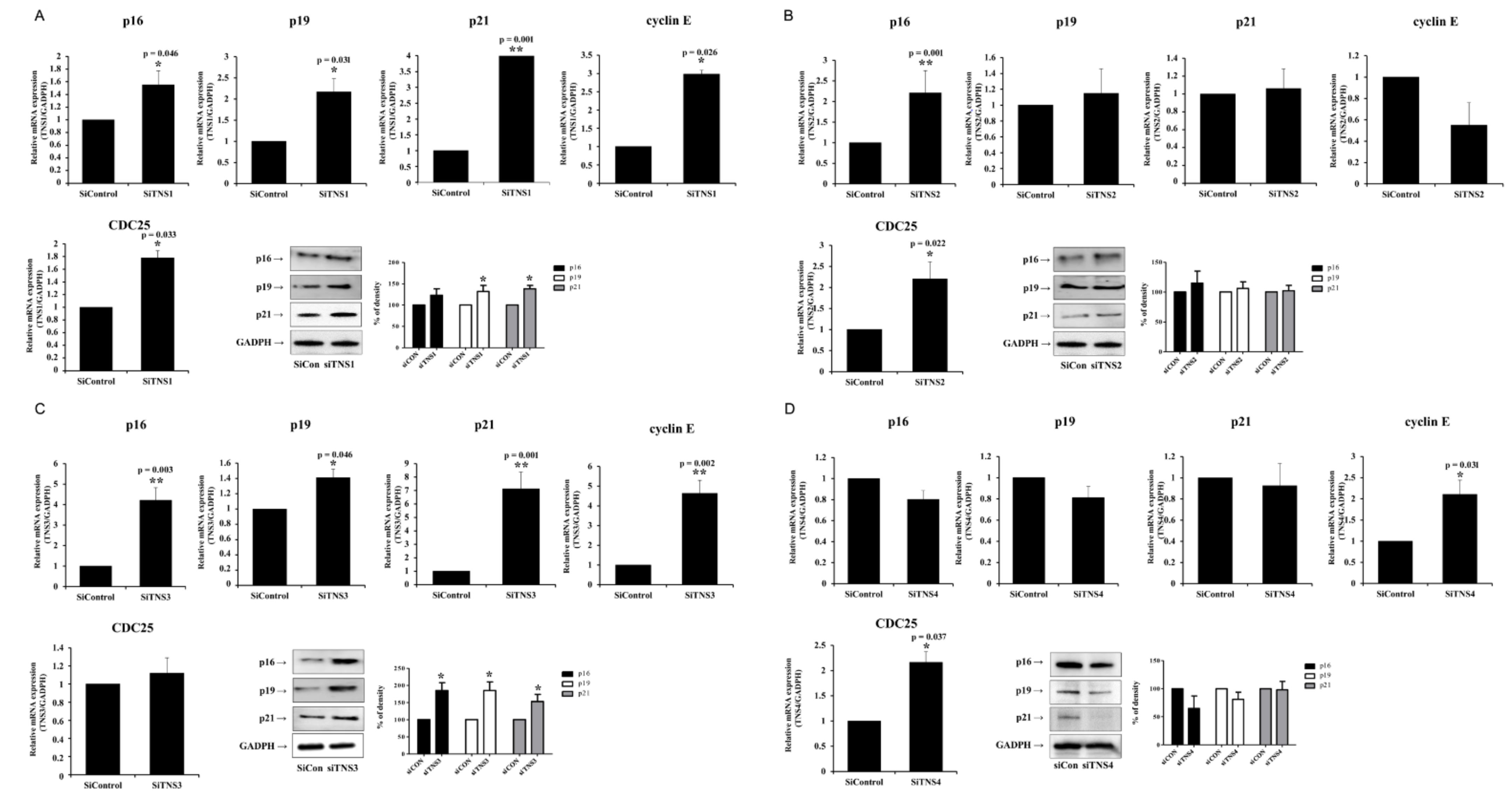 Cells 11 02333 g002 550