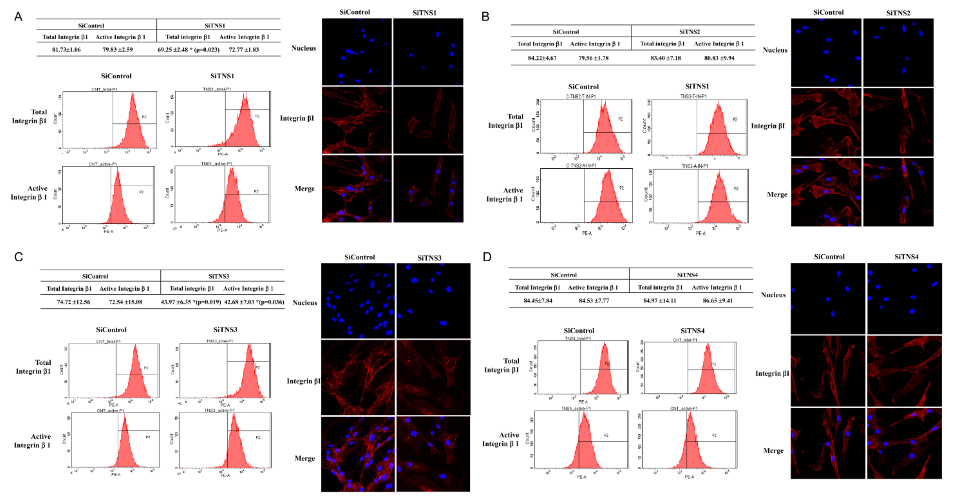 Cells 11 02333 g006 550
