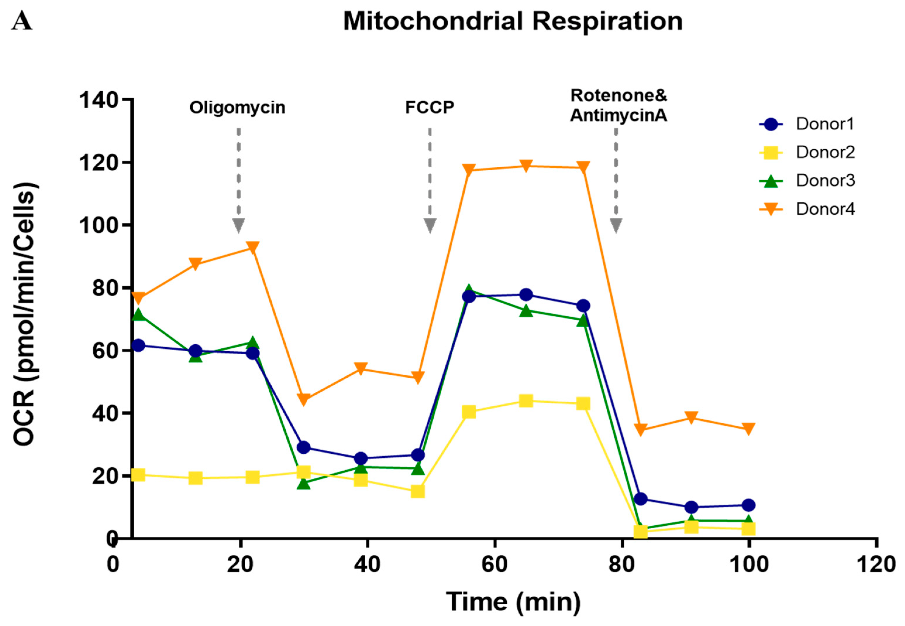 Cells 11 02335 g003a 550