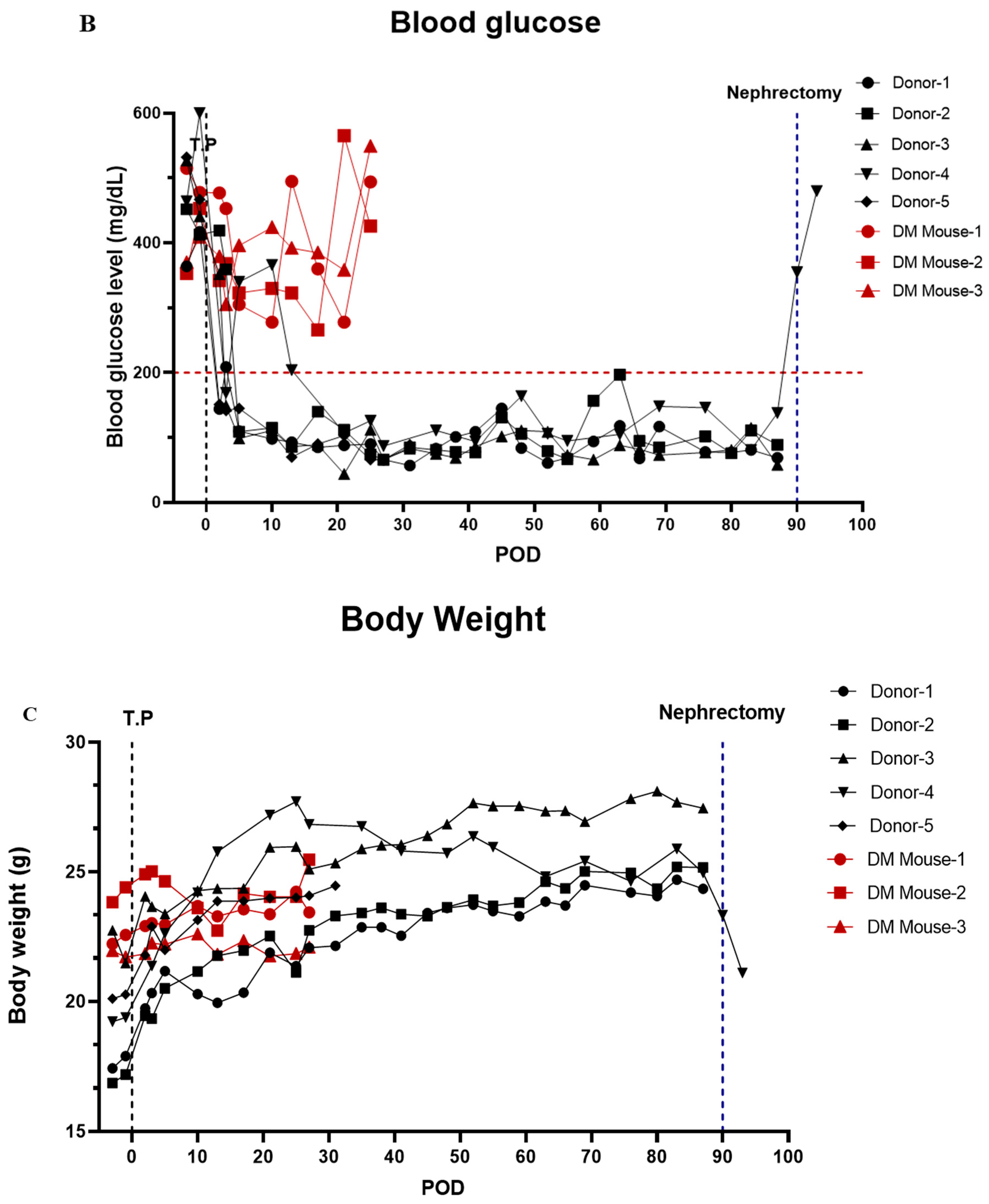 Cells 11 02335 g005b 550