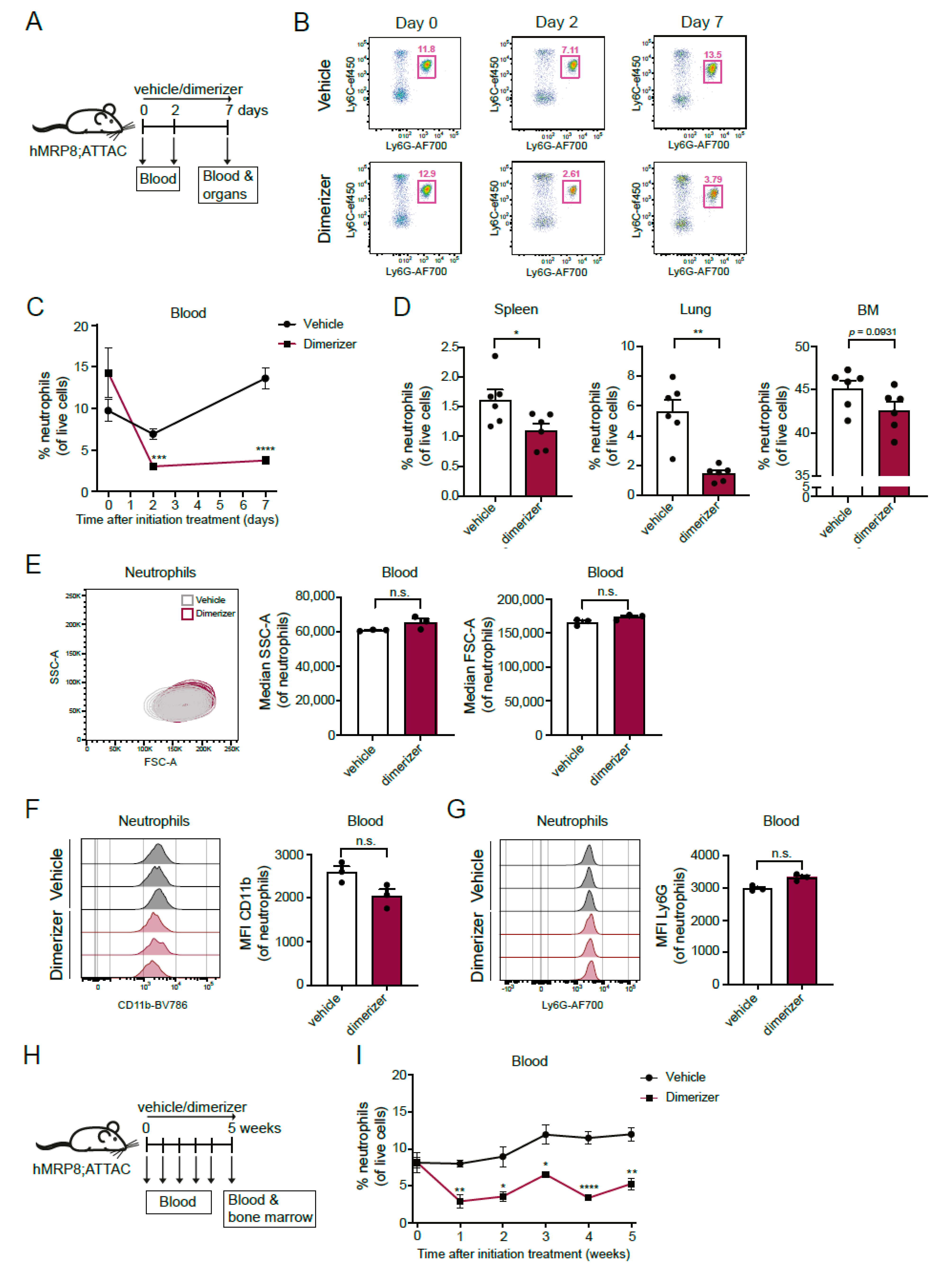 Cells 11 02346 g003 Cells 11 02346 g003