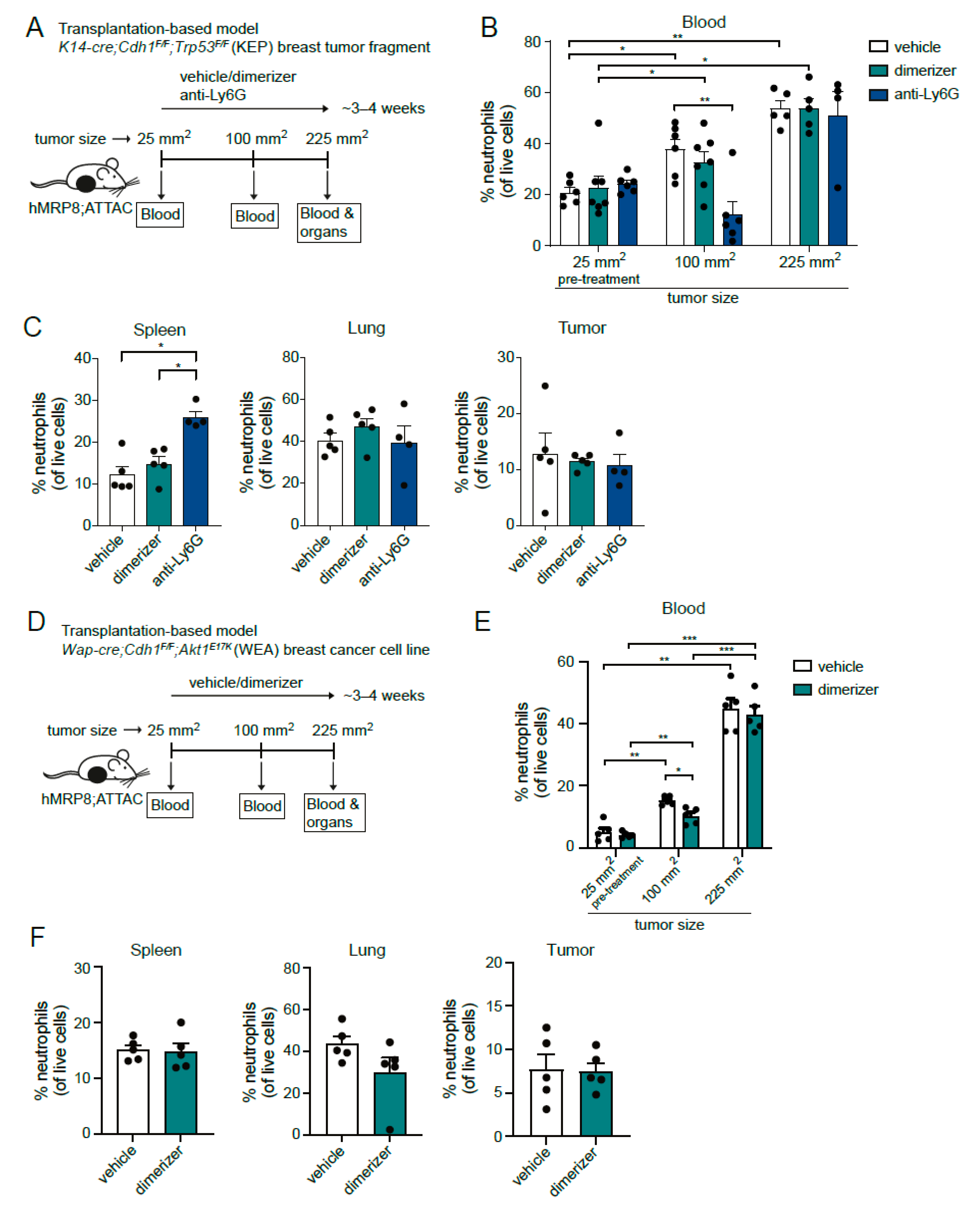 Cells 11 02346 g004 Cells 11 02346 g004