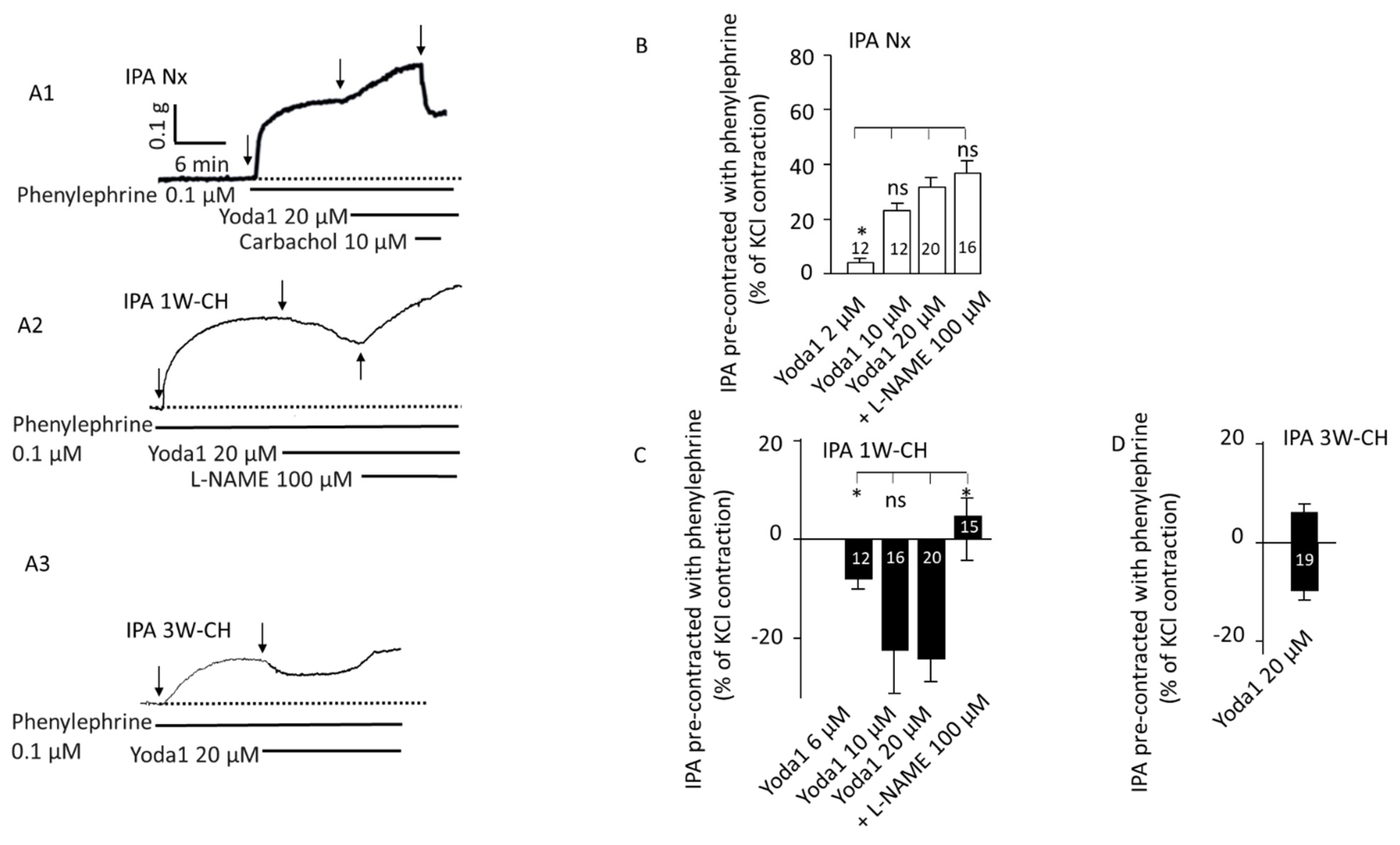 Cells 11 02349 g004 Cells 11 02349 g004