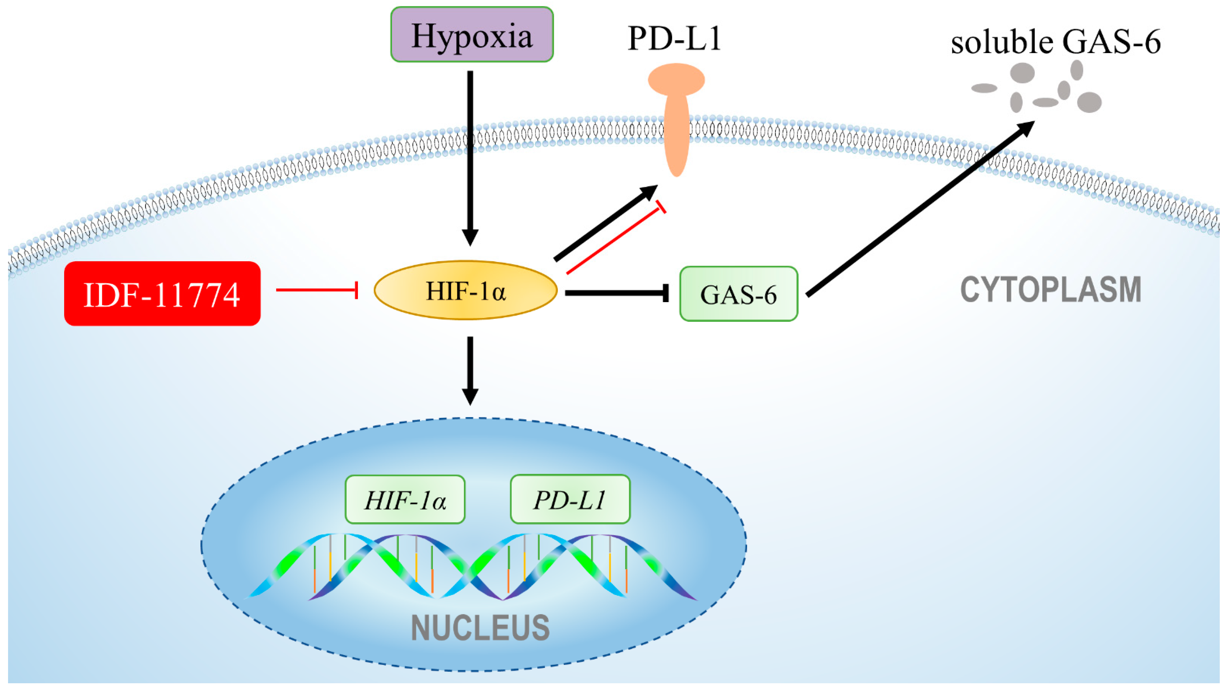 Cells 11 02350 sch001