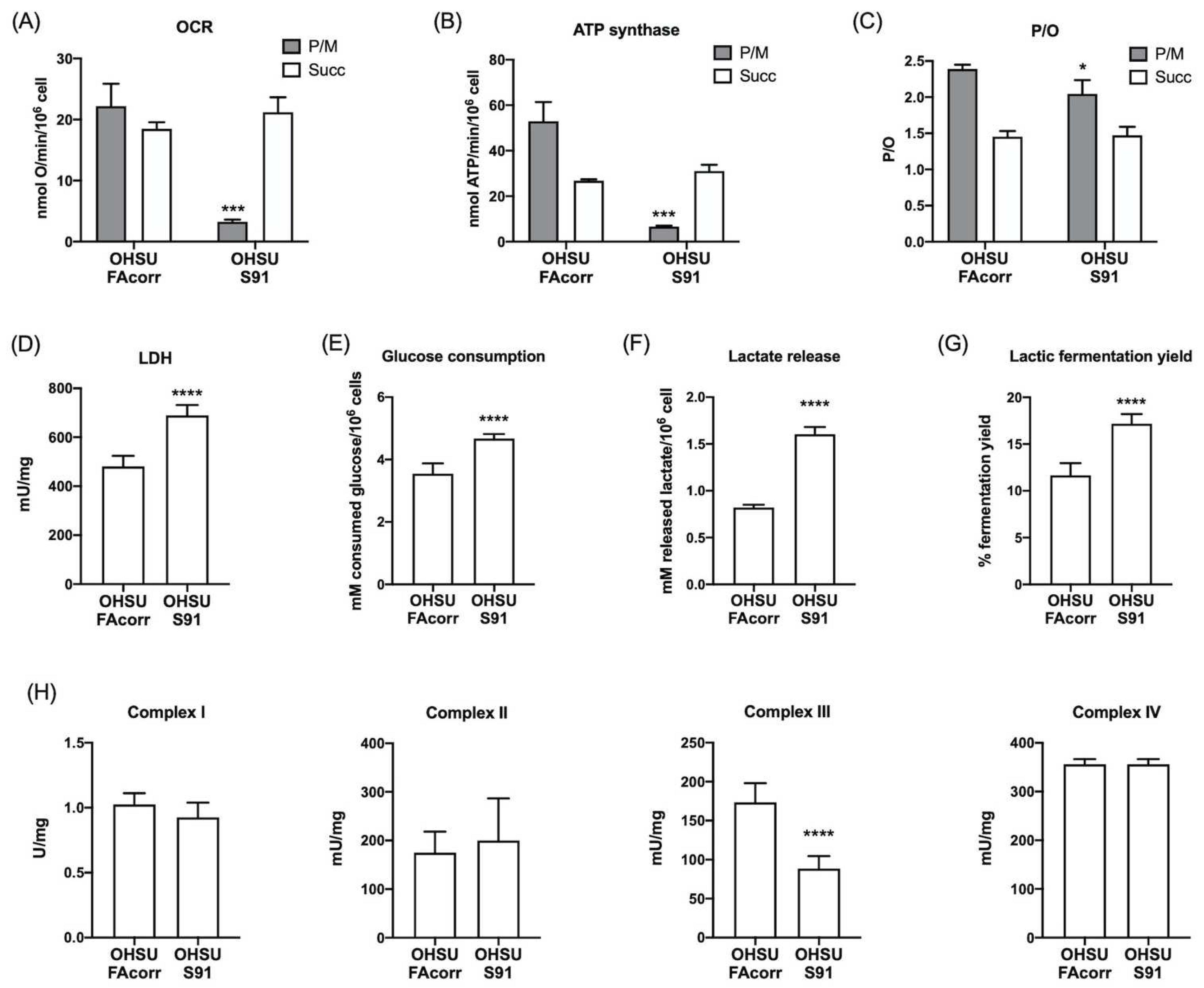 Cells 11 02353 g001 Cells 11 02353 g001