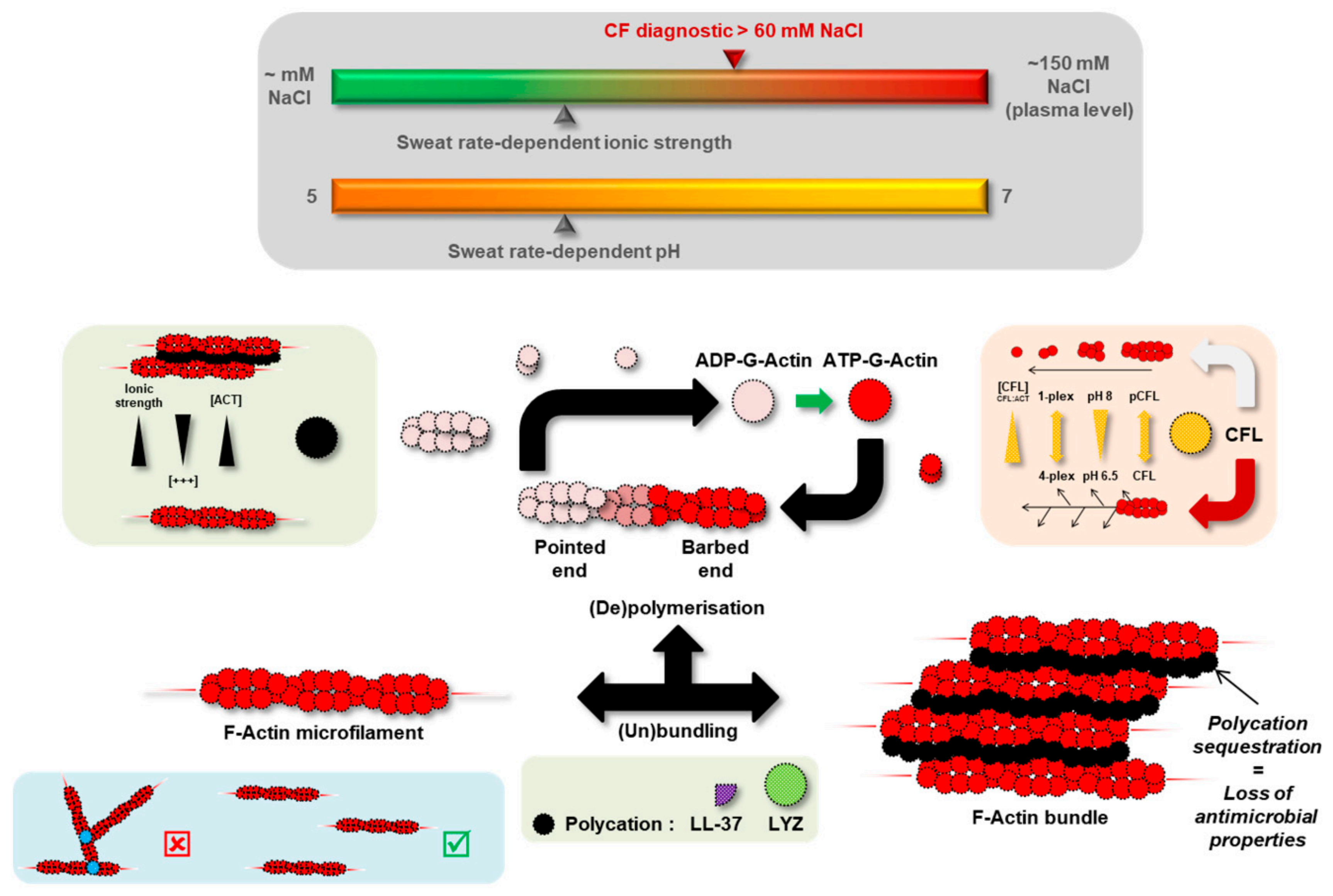 Cells 11 02358 g008 Cells 11 02358 g008