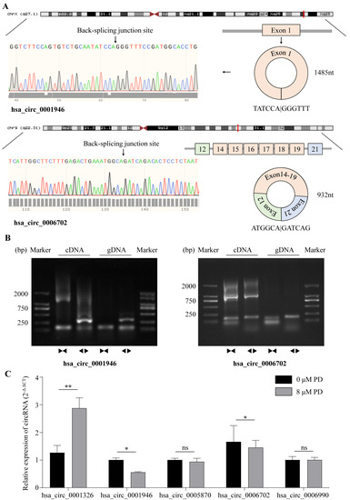 【shanshan】 Colossal room-temperature non-reciprocal Hall effect