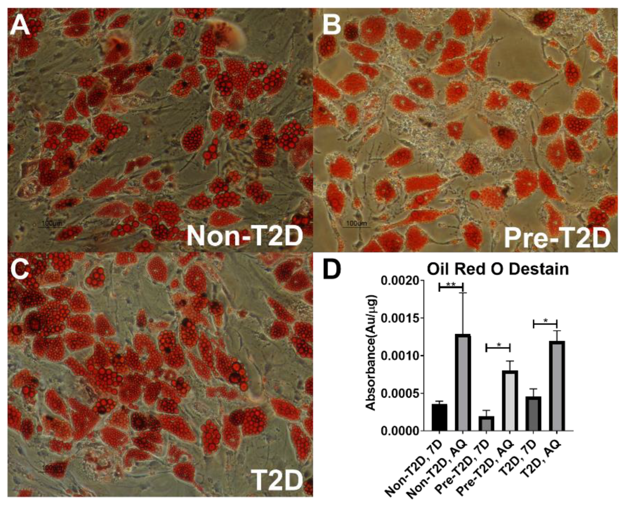Cells 11 02367 g002 550