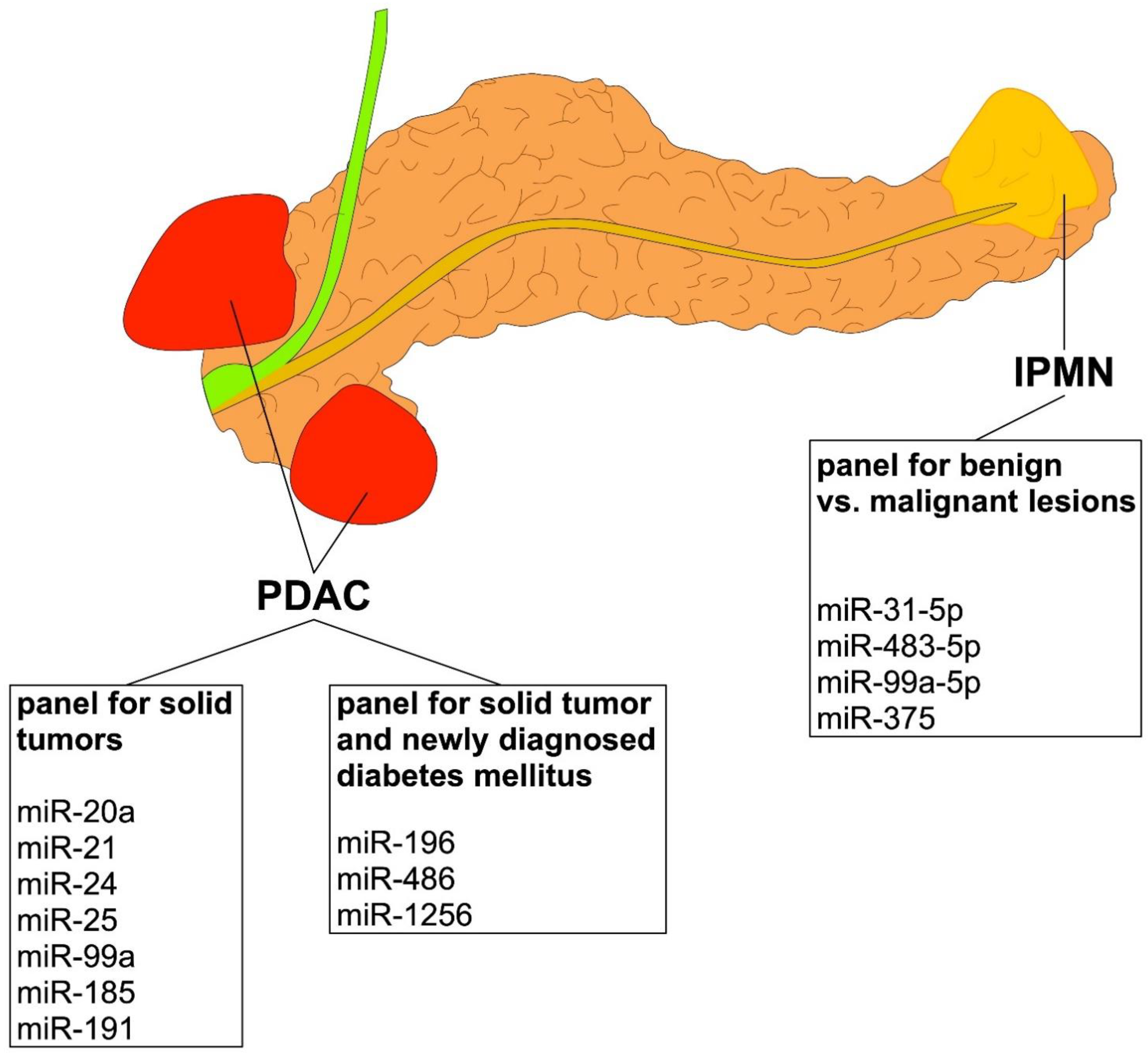 Cells 11 02374 g001 Cells 11 02374 g001