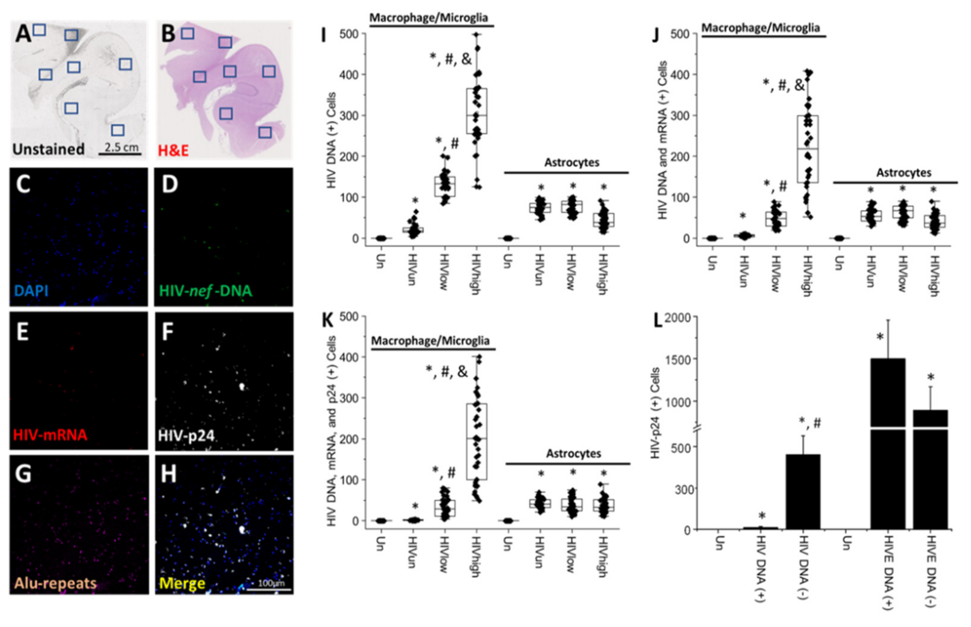 Cells 11 02379 g002 550