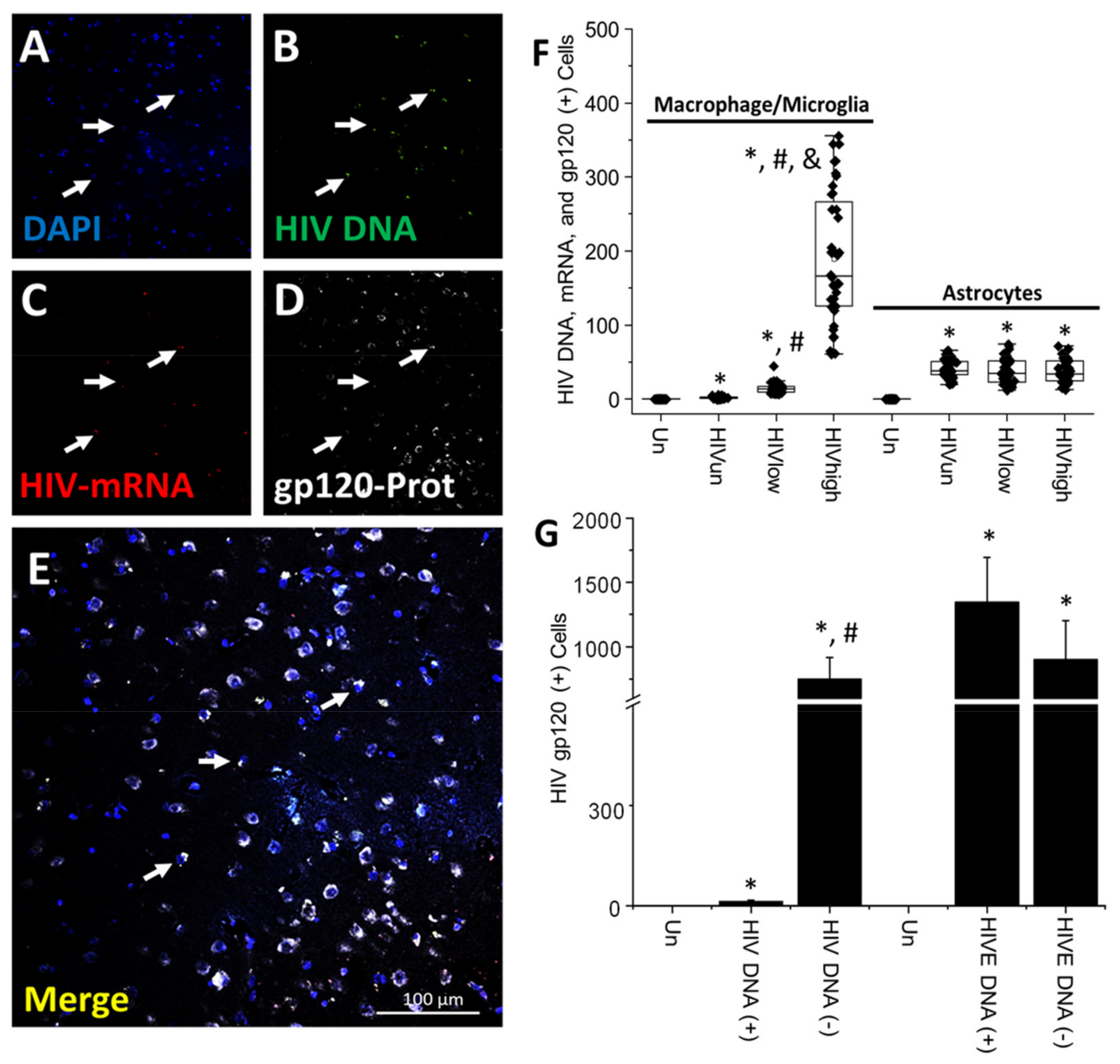 Cells 11 02379 g003 550